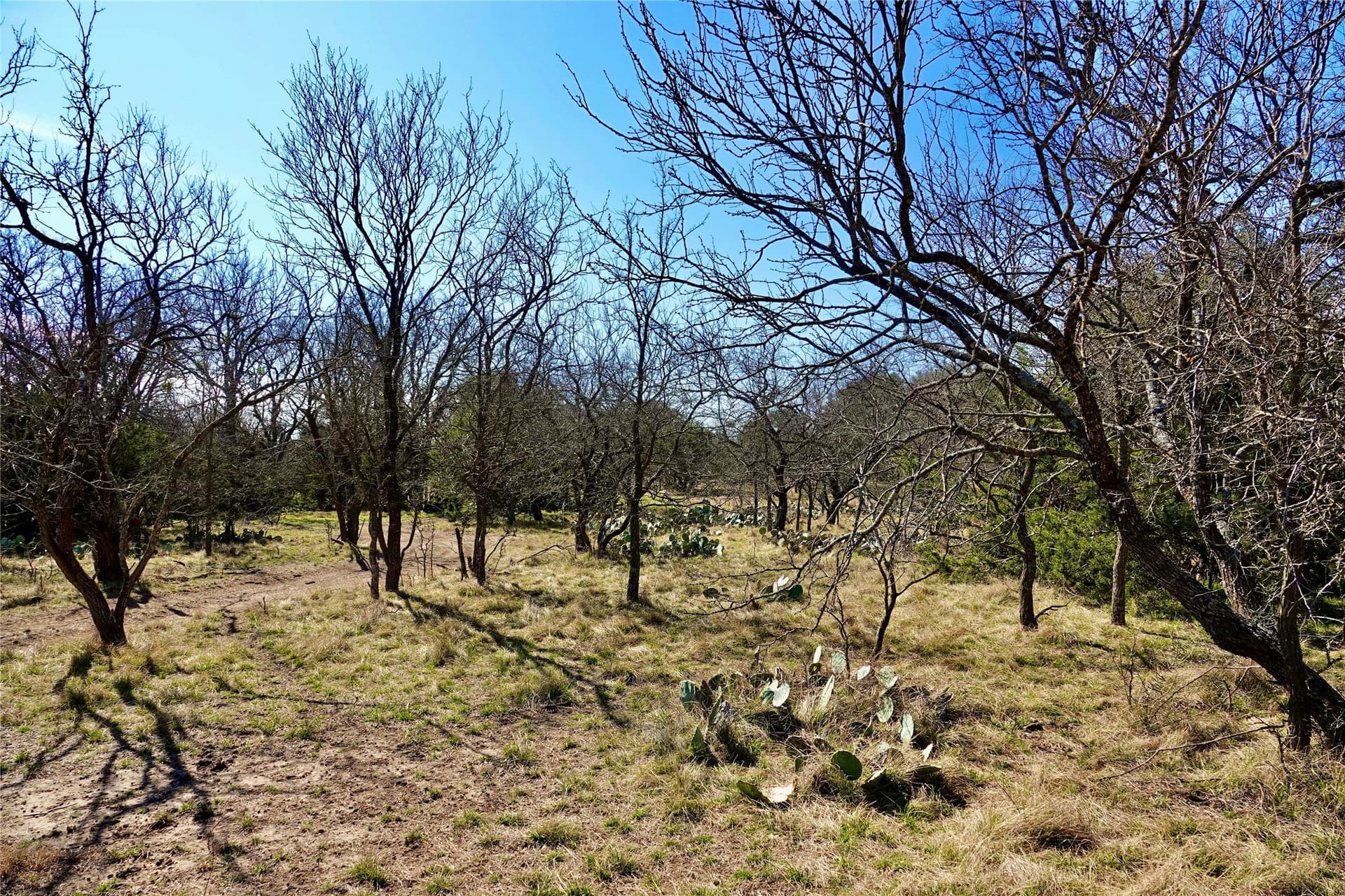 15 acres in Mills County - photo 27