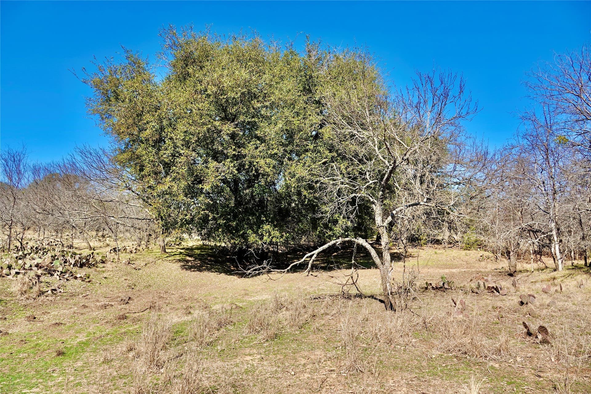 15 acres in Mills County - photo 34