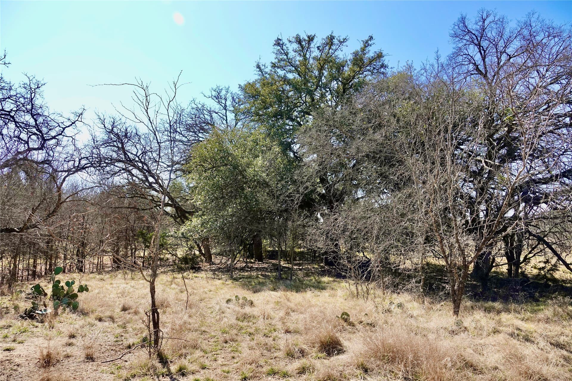 15 acres in Mills County - photo 32