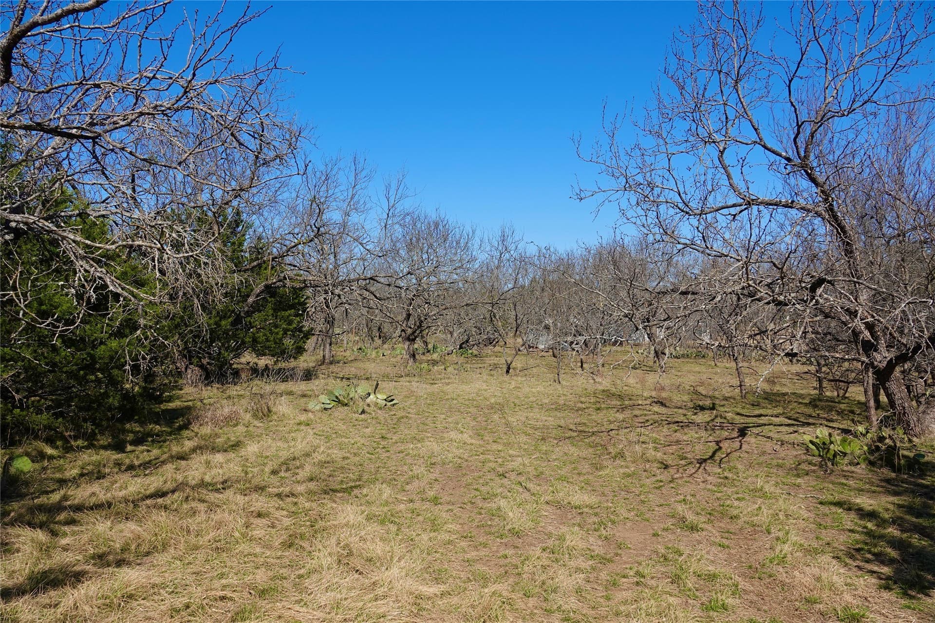15 acres in Mills County - photo 29