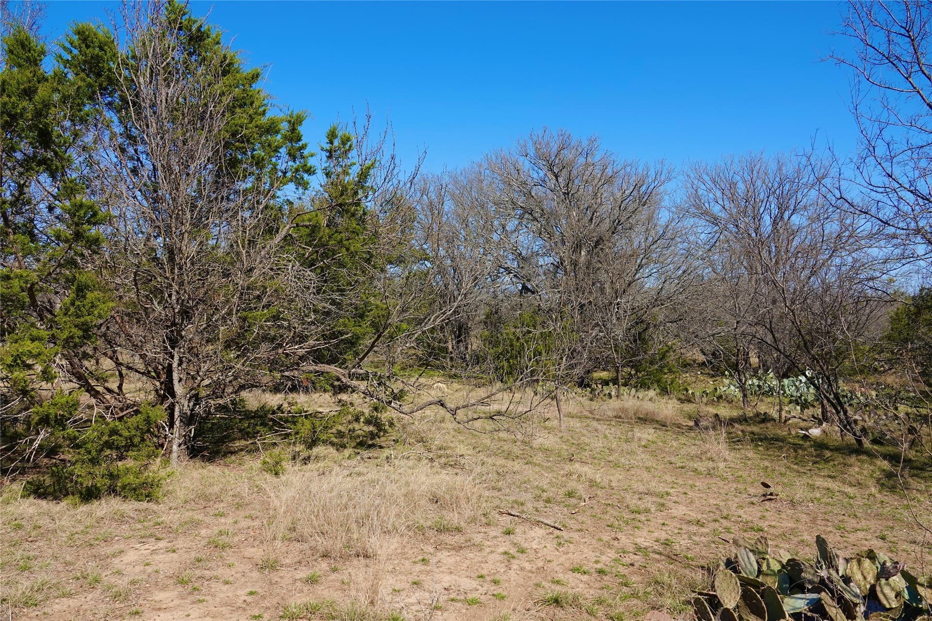 15 acres in Mills County - photo 28