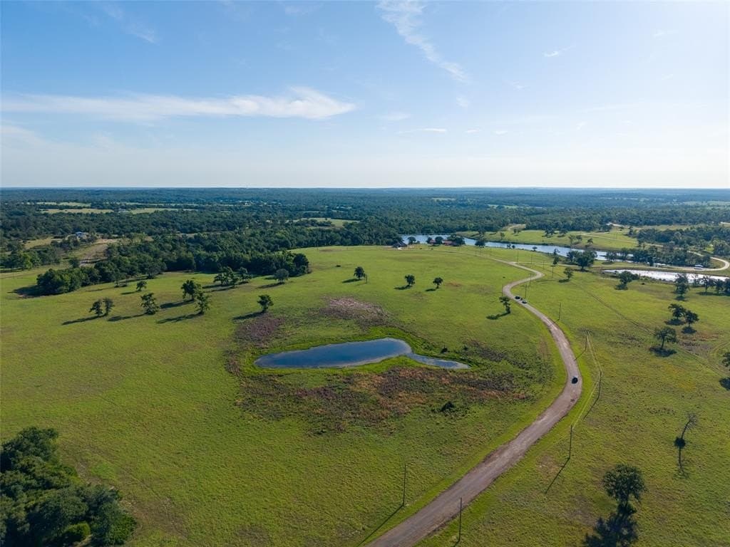 5.6 acres in Leon County gallery image 2