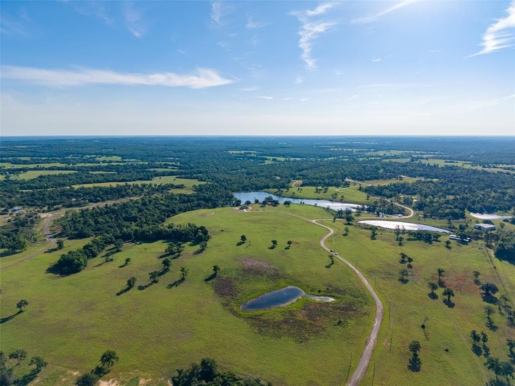 5.6 acres in Leon County gallery image 4