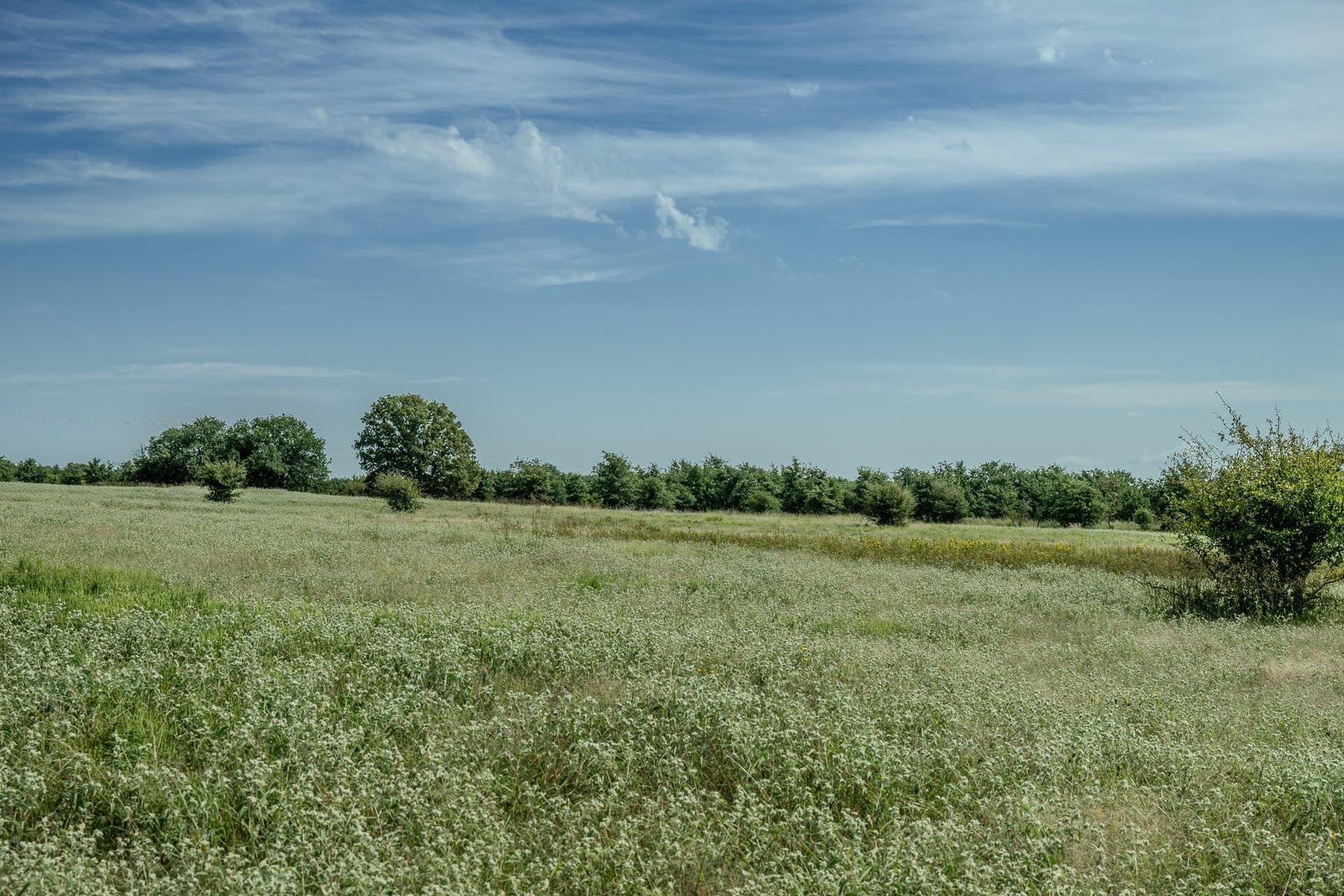 530 acres in Clay County - photo 39