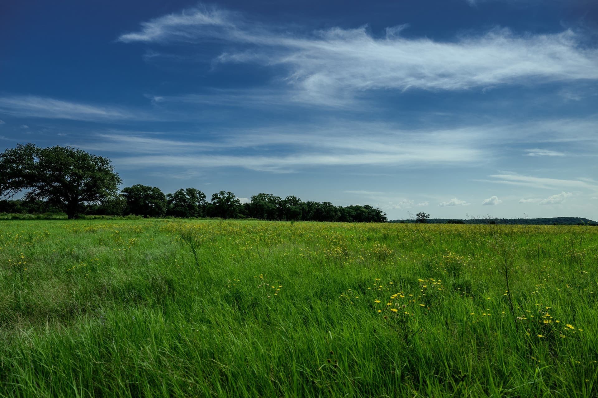 530 acres in Clay County - photo 15