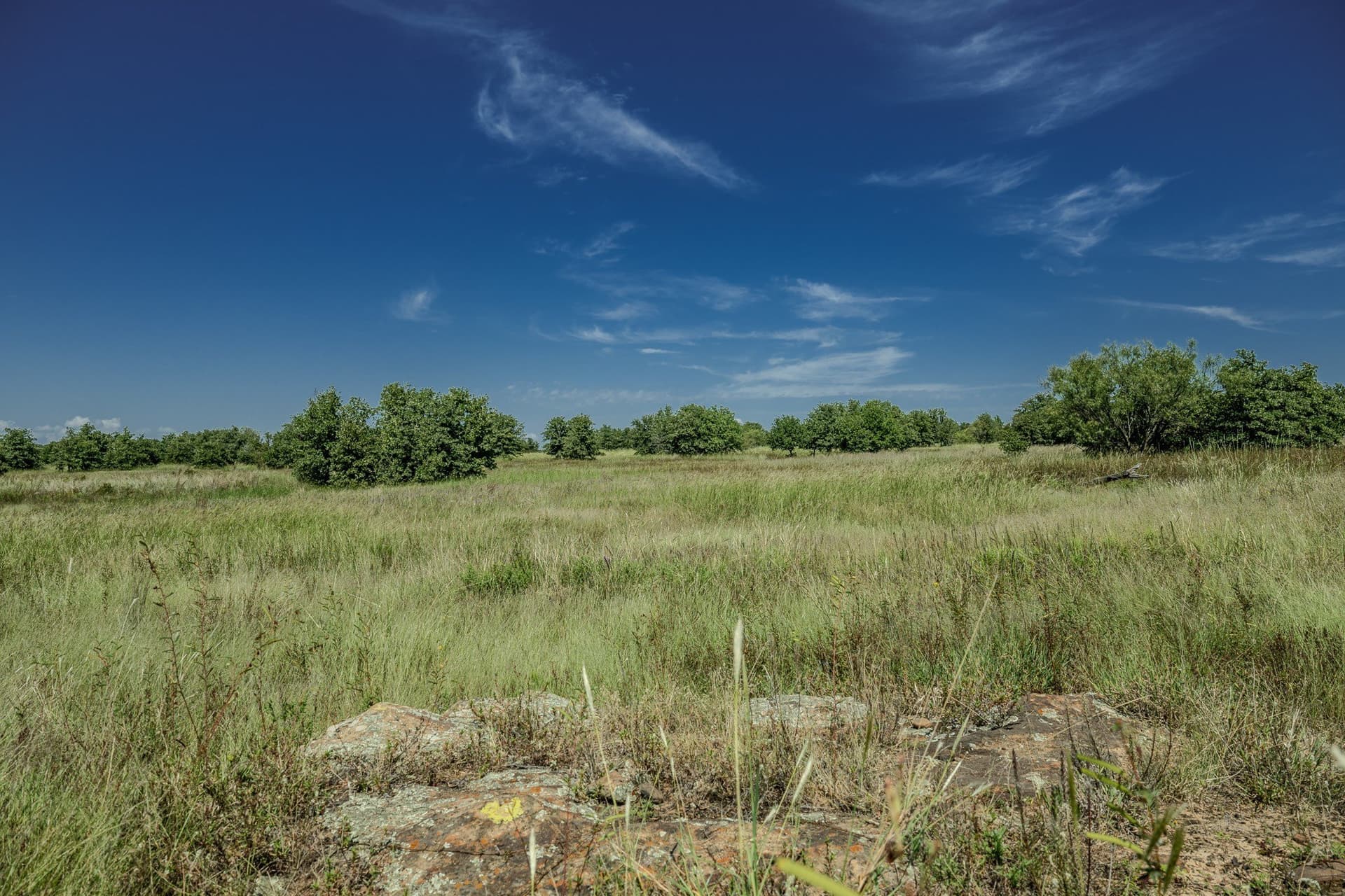 530 acres in Clay County - photo 29