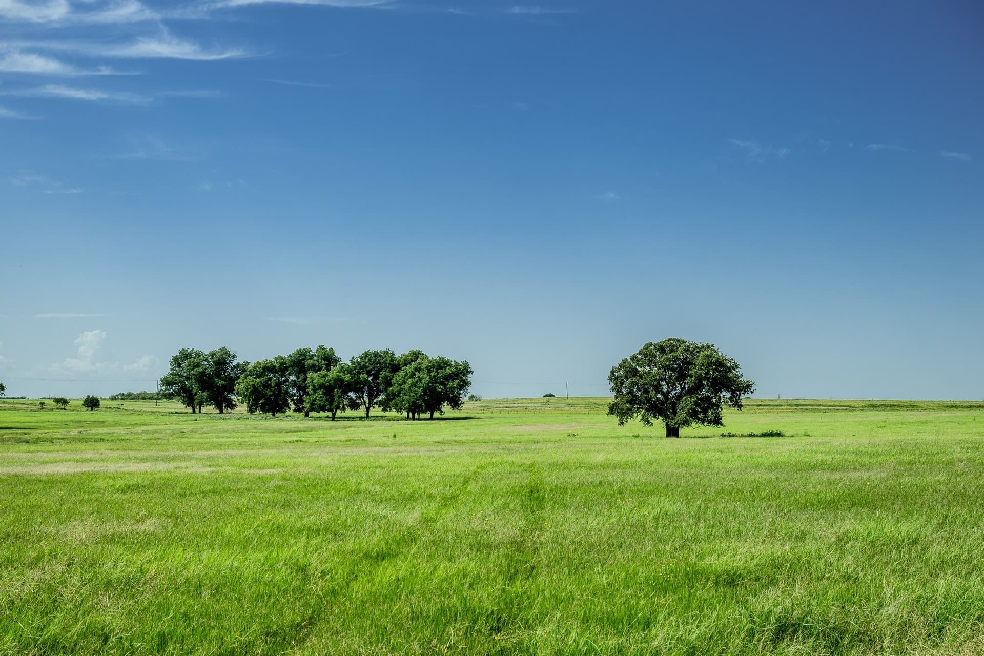530 acres in Clay County - photo 17
