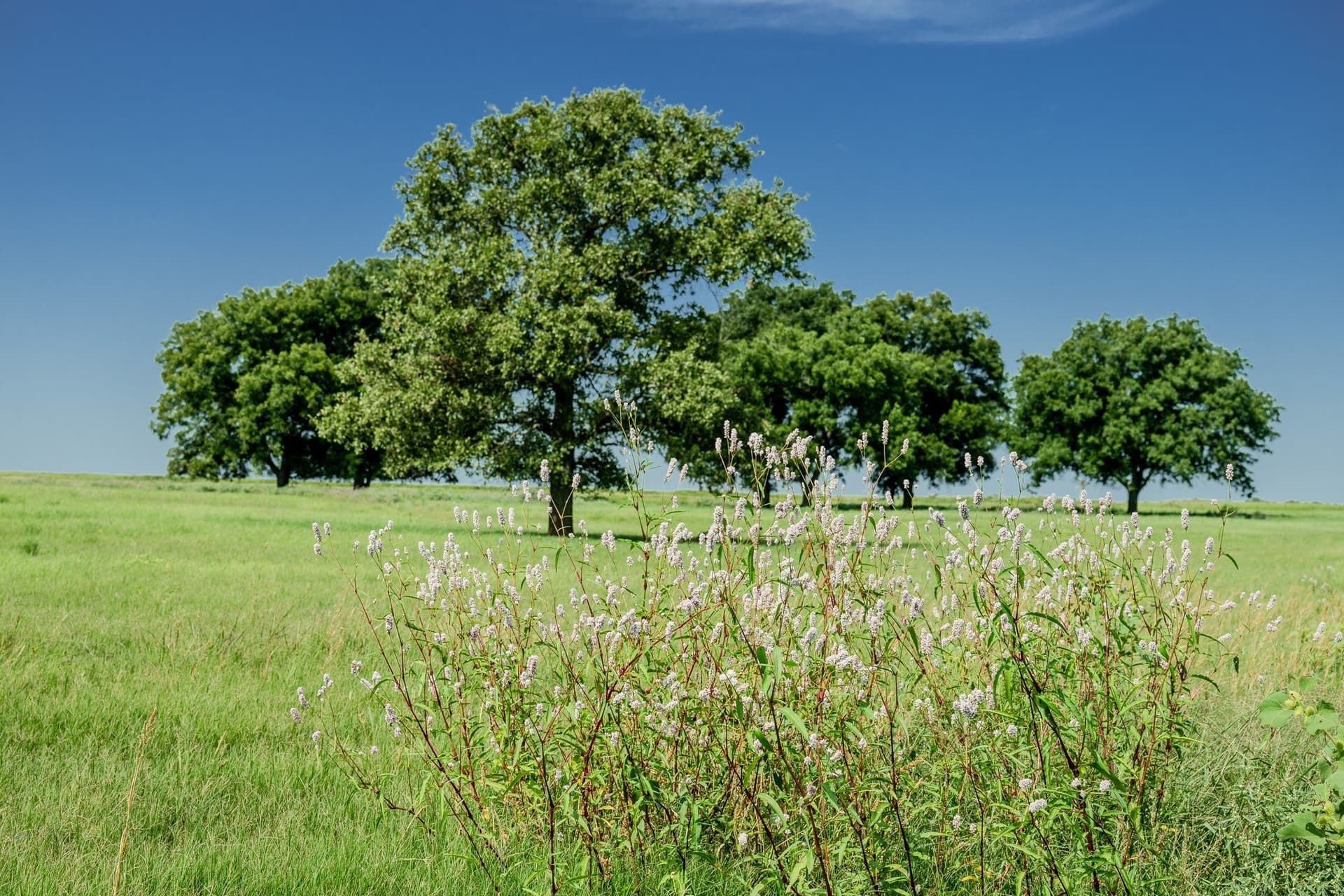 530 acres in Clay County - photo 4