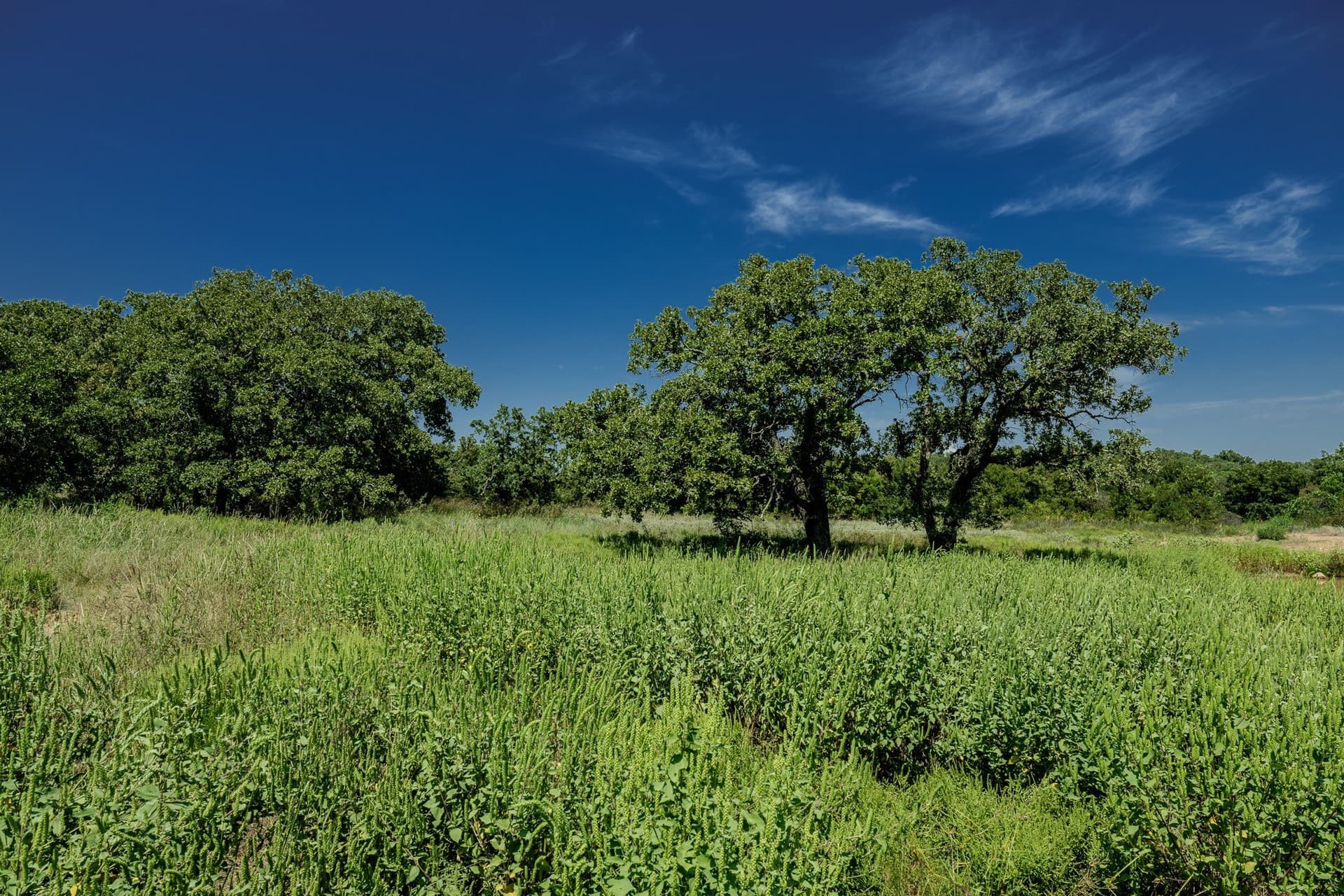 530 acres in Clay County - photo 2