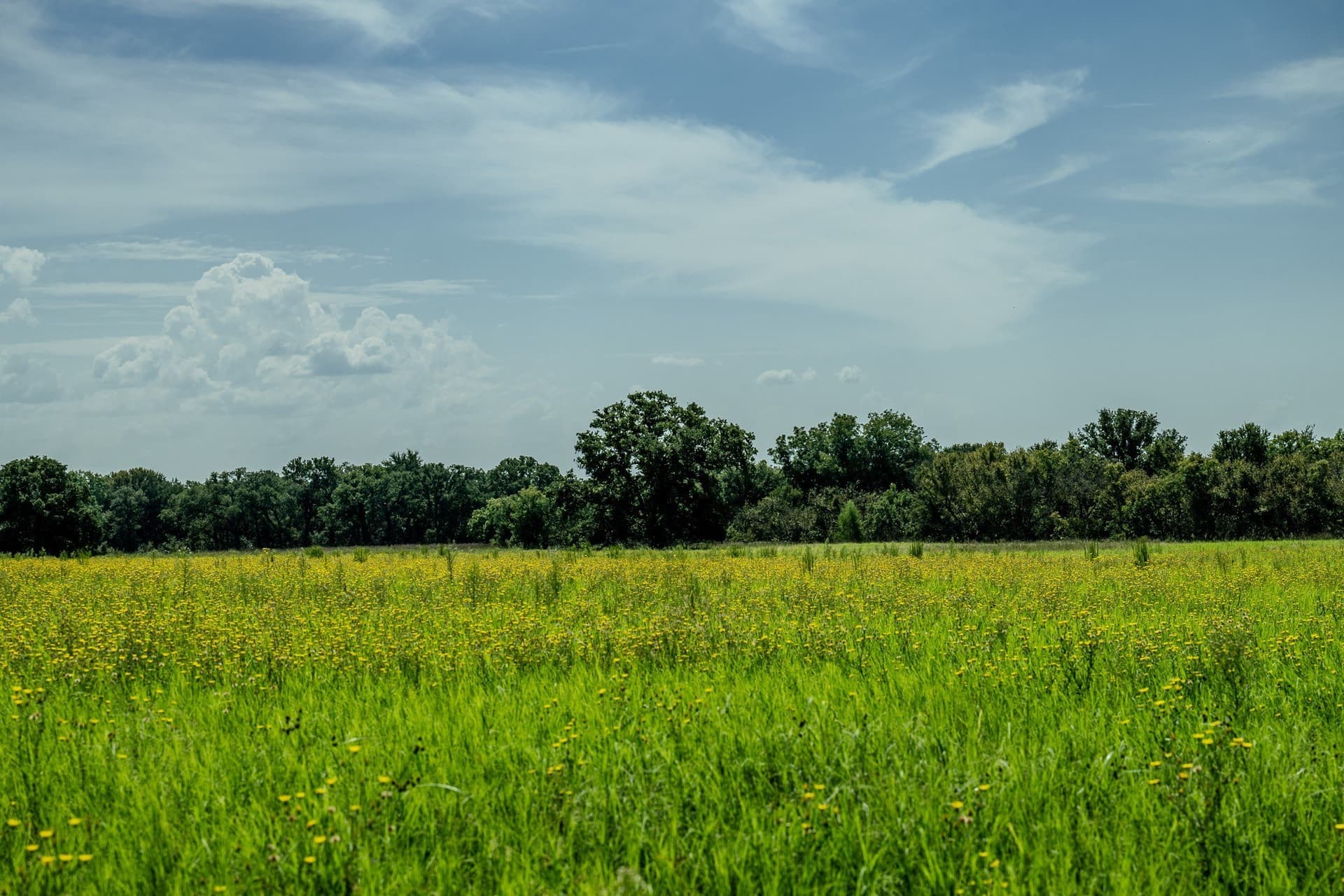 530 acres in Clay County - photo 36