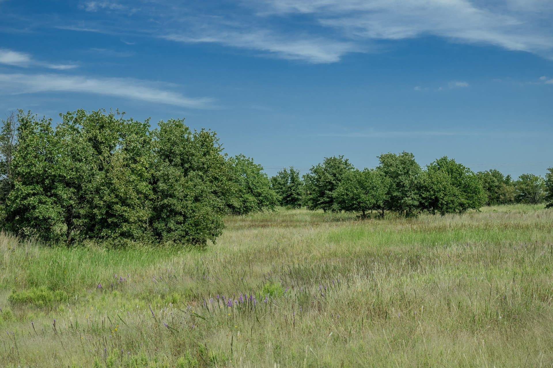 530 acres in Clay County - photo 40