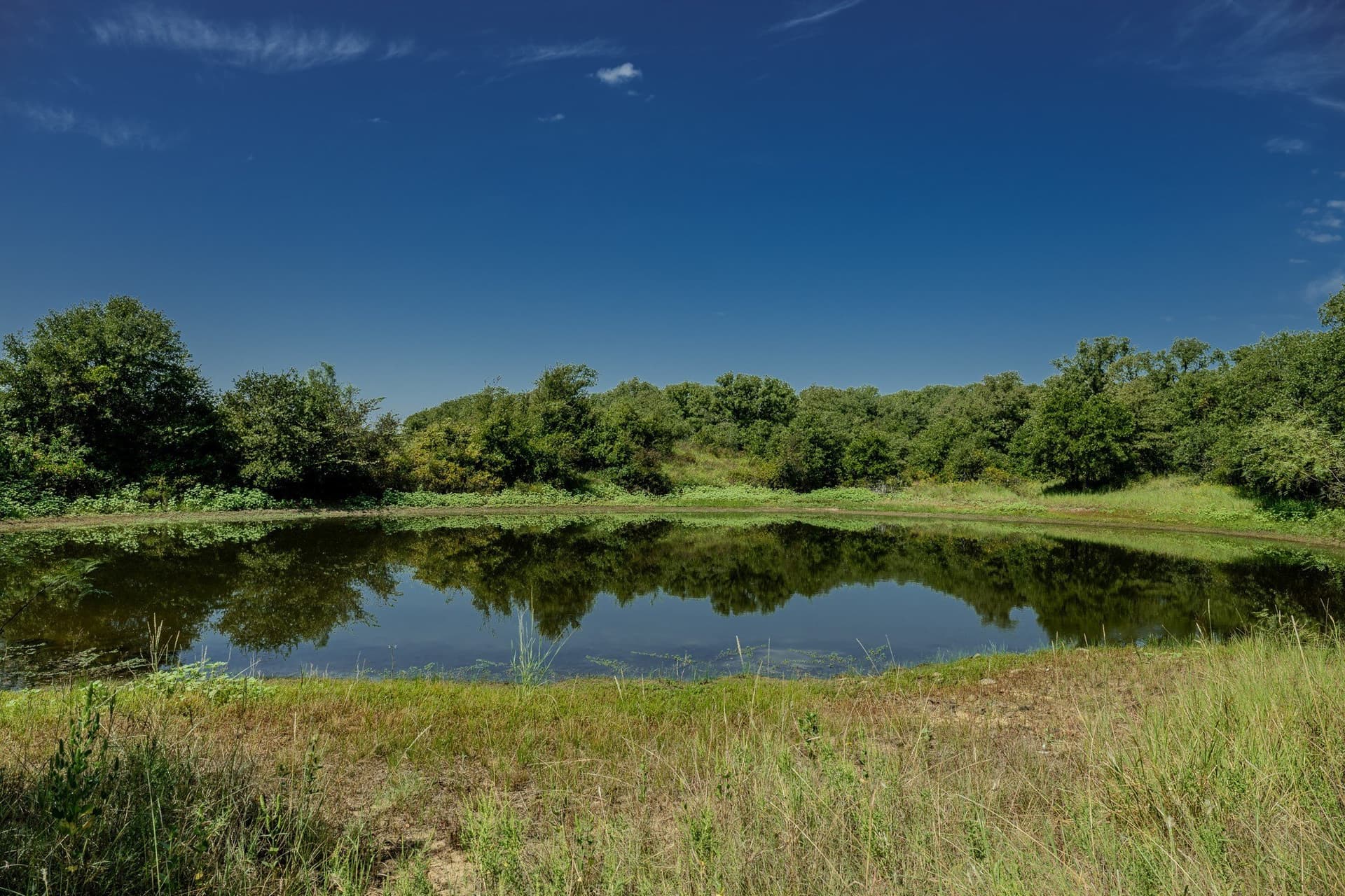 530 acres in Clay County - photo 7