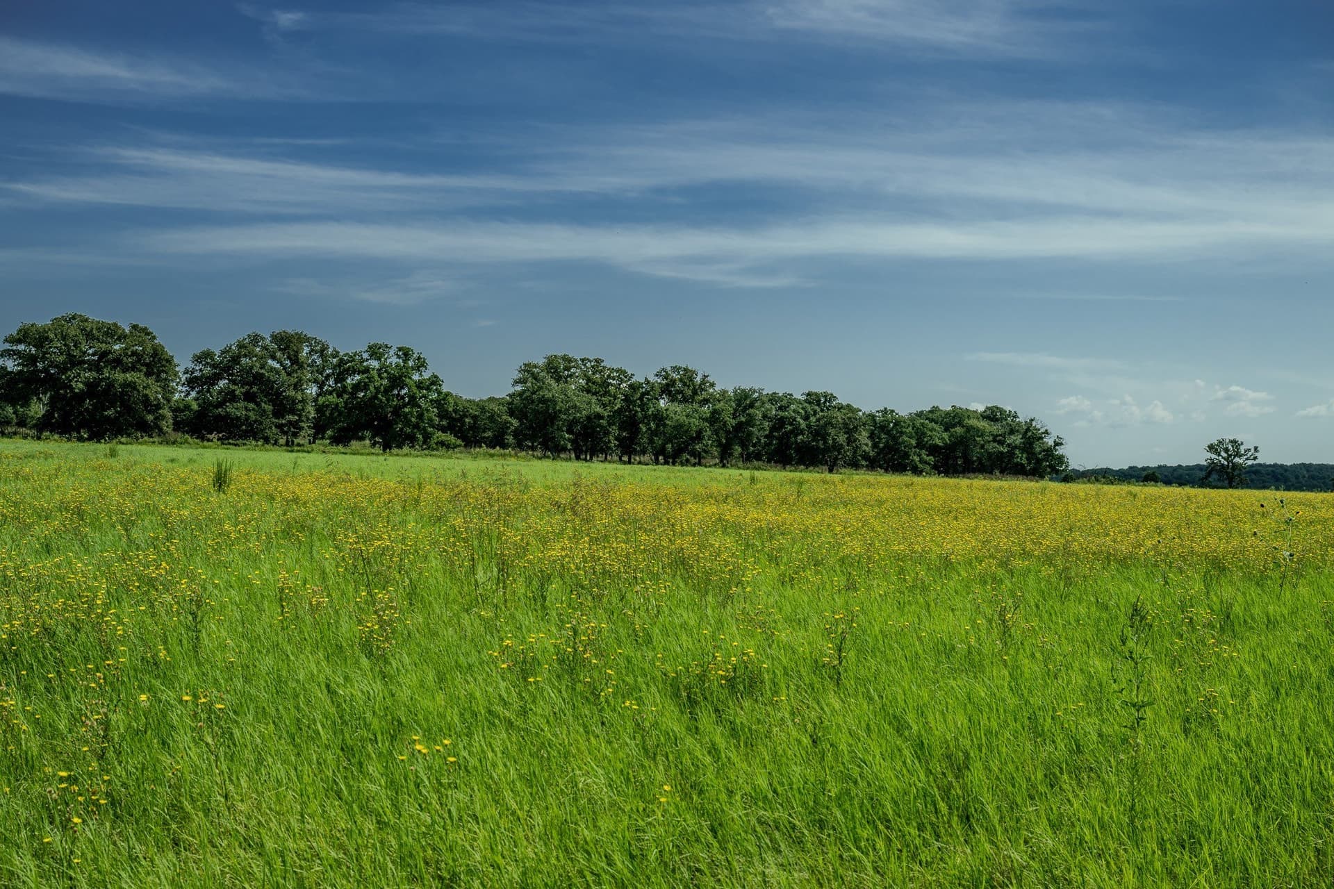 530 acres in Clay County - photo 11