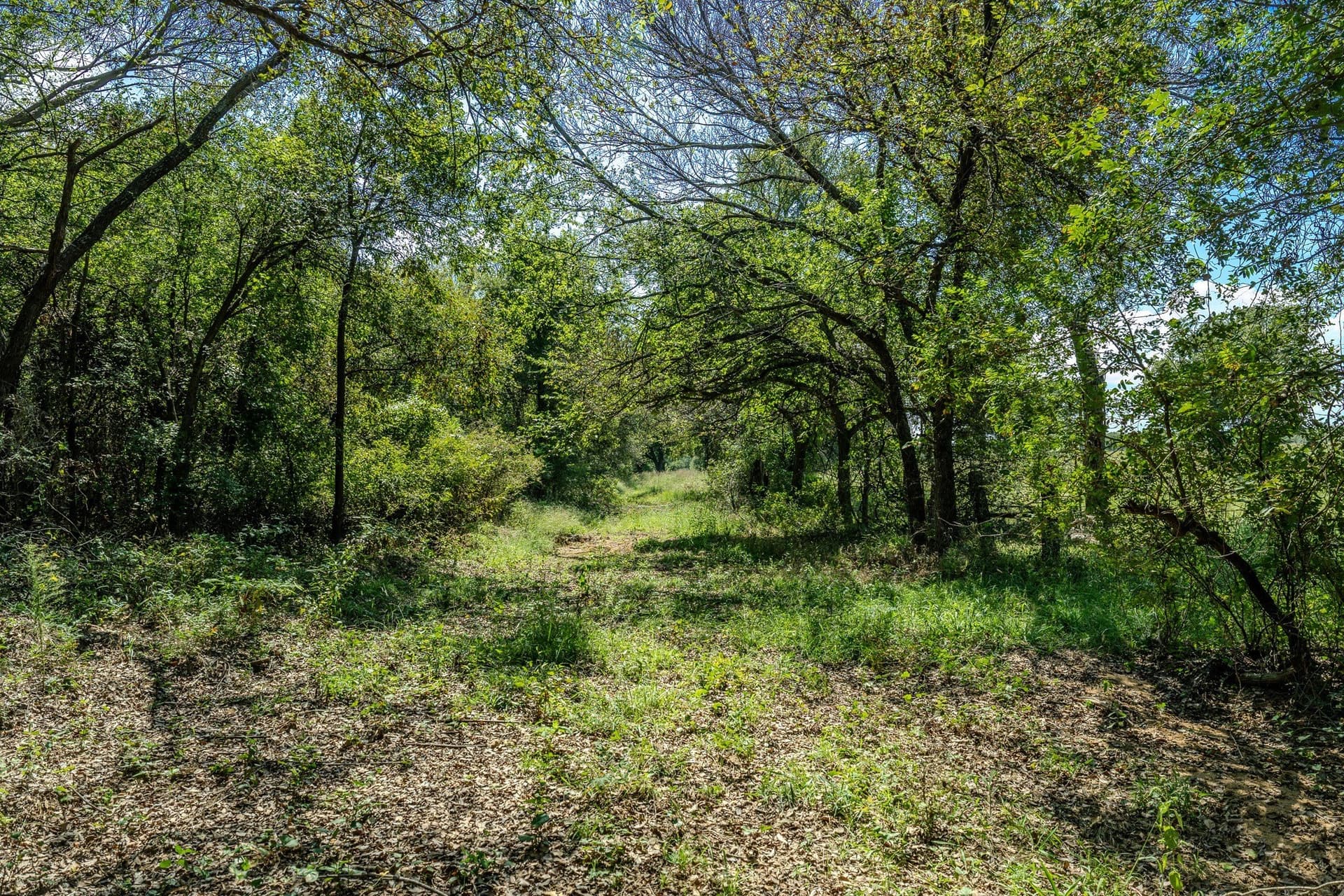 530 acres in Clay County - photo 3