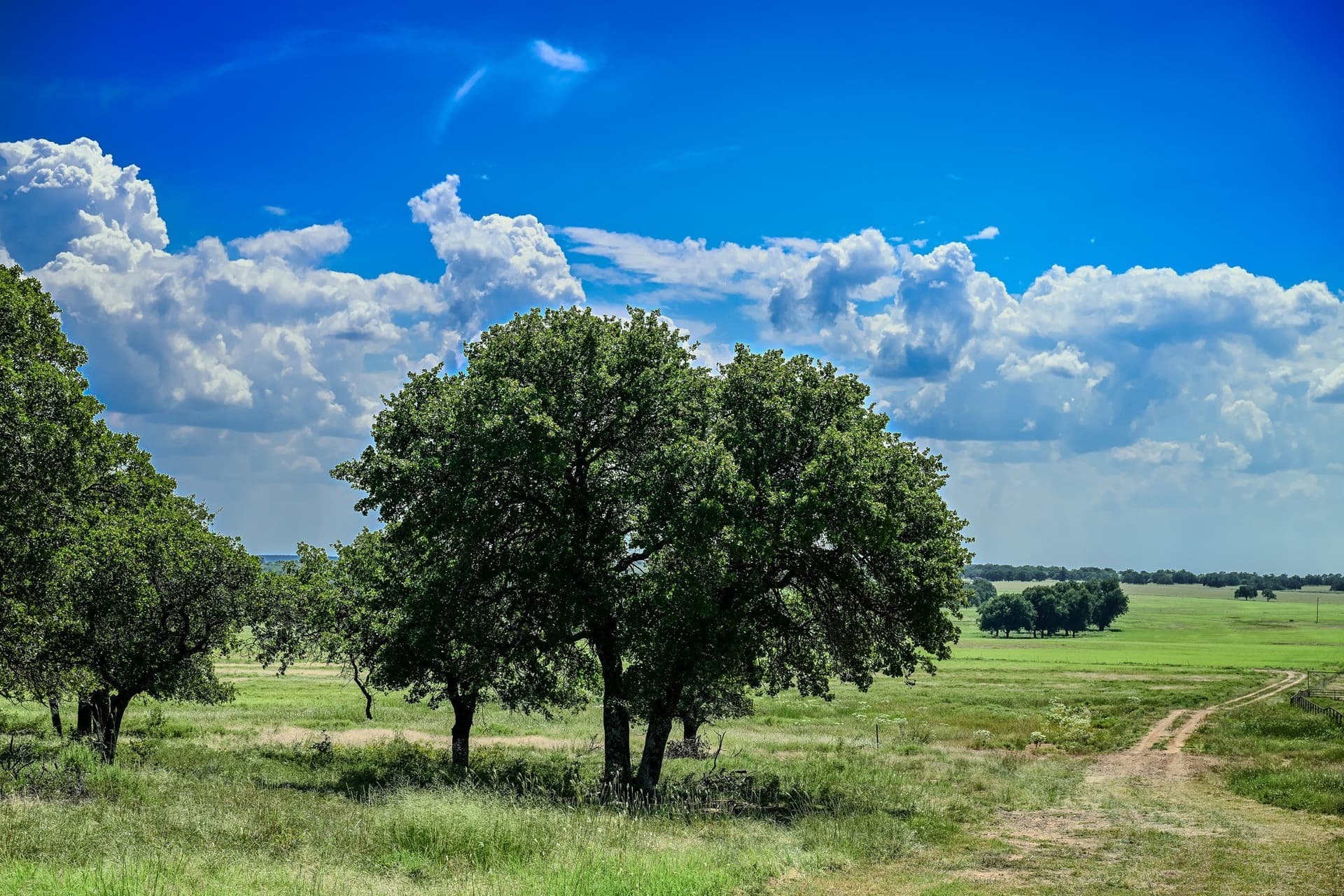 530 acres in Clay County - photo 5