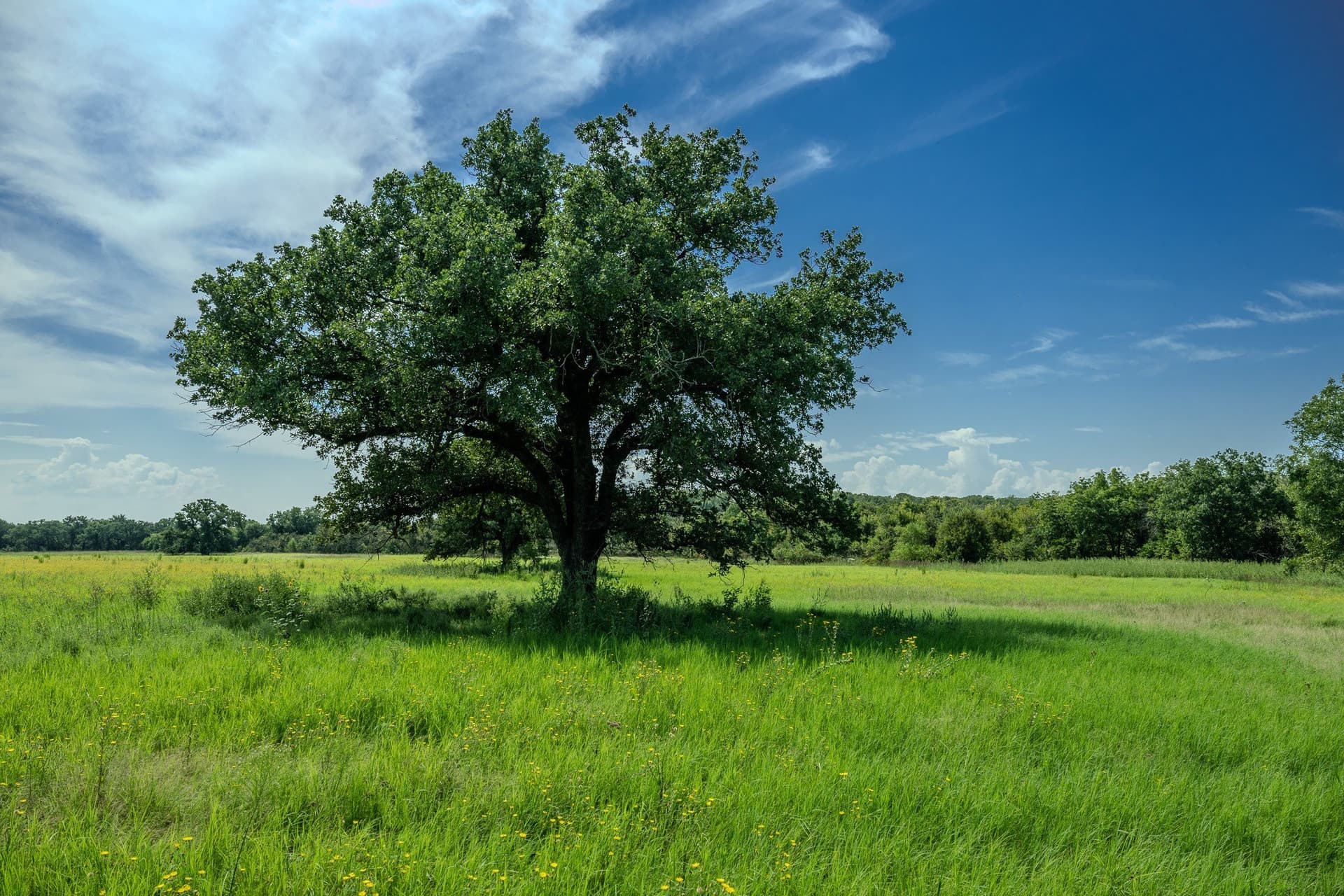 530 acres in Clay County - photo 13