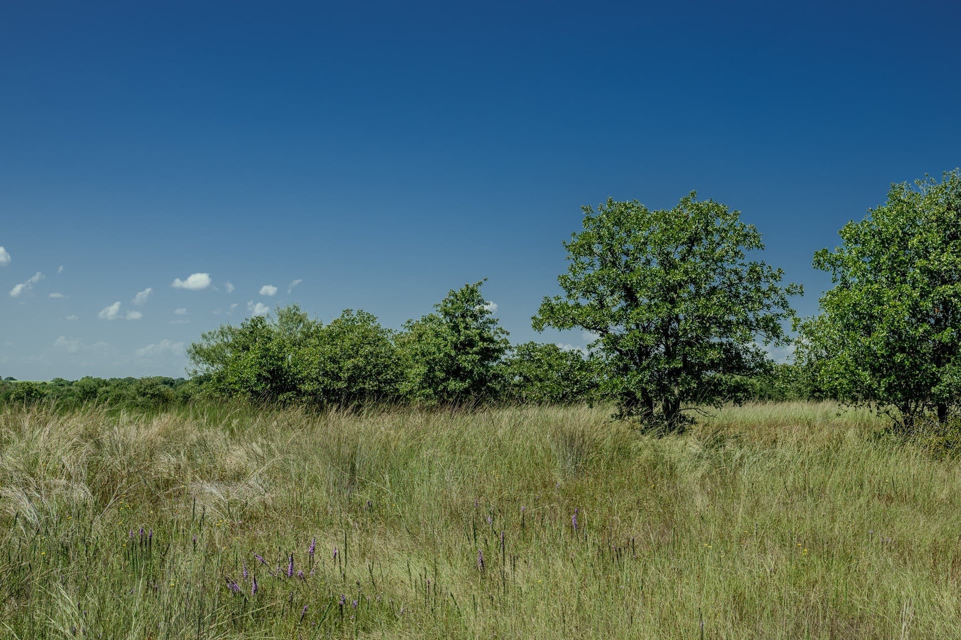 530 acres in Clay County - photo 27
