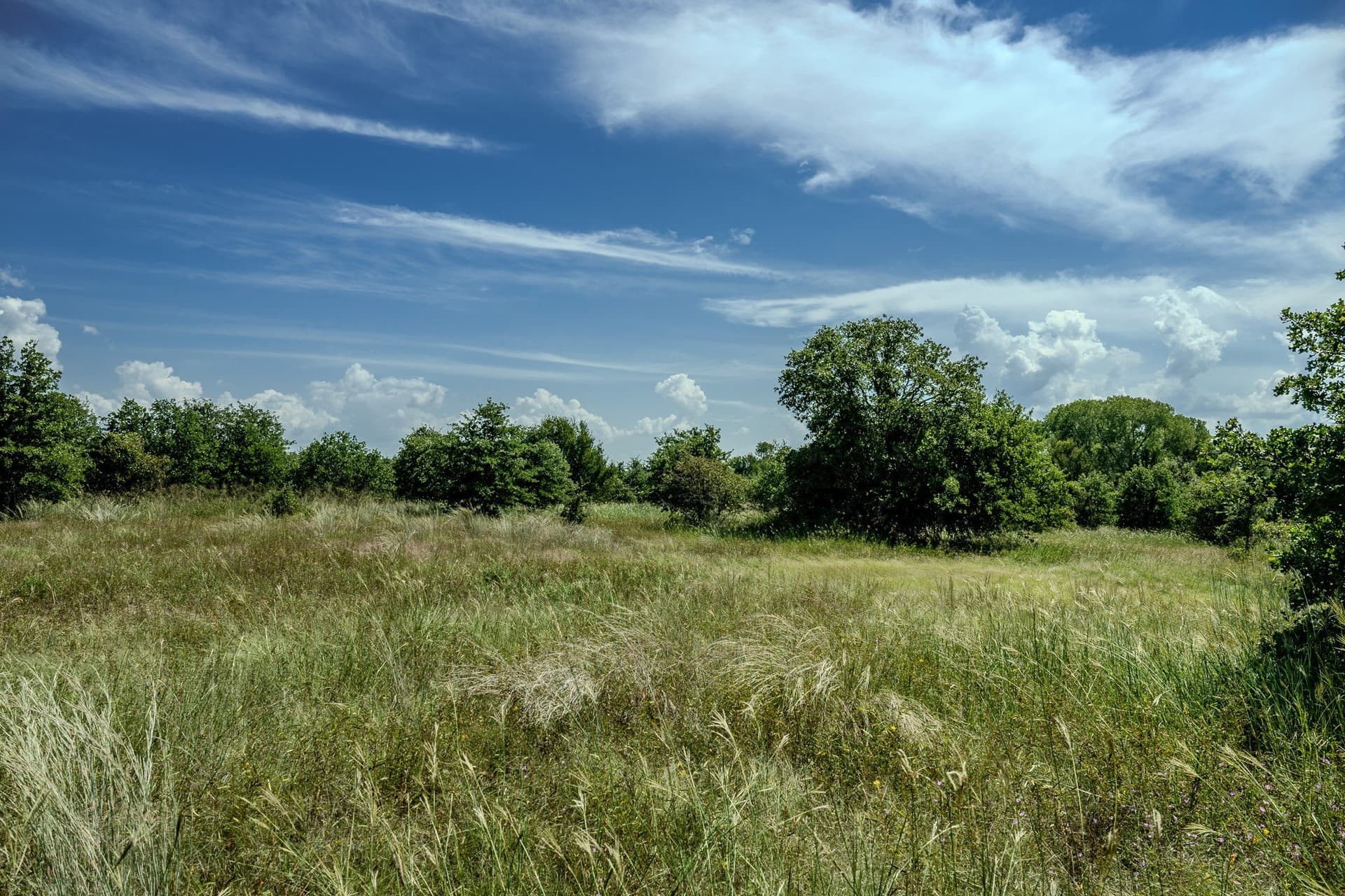 530 acres in Clay County - photo 18