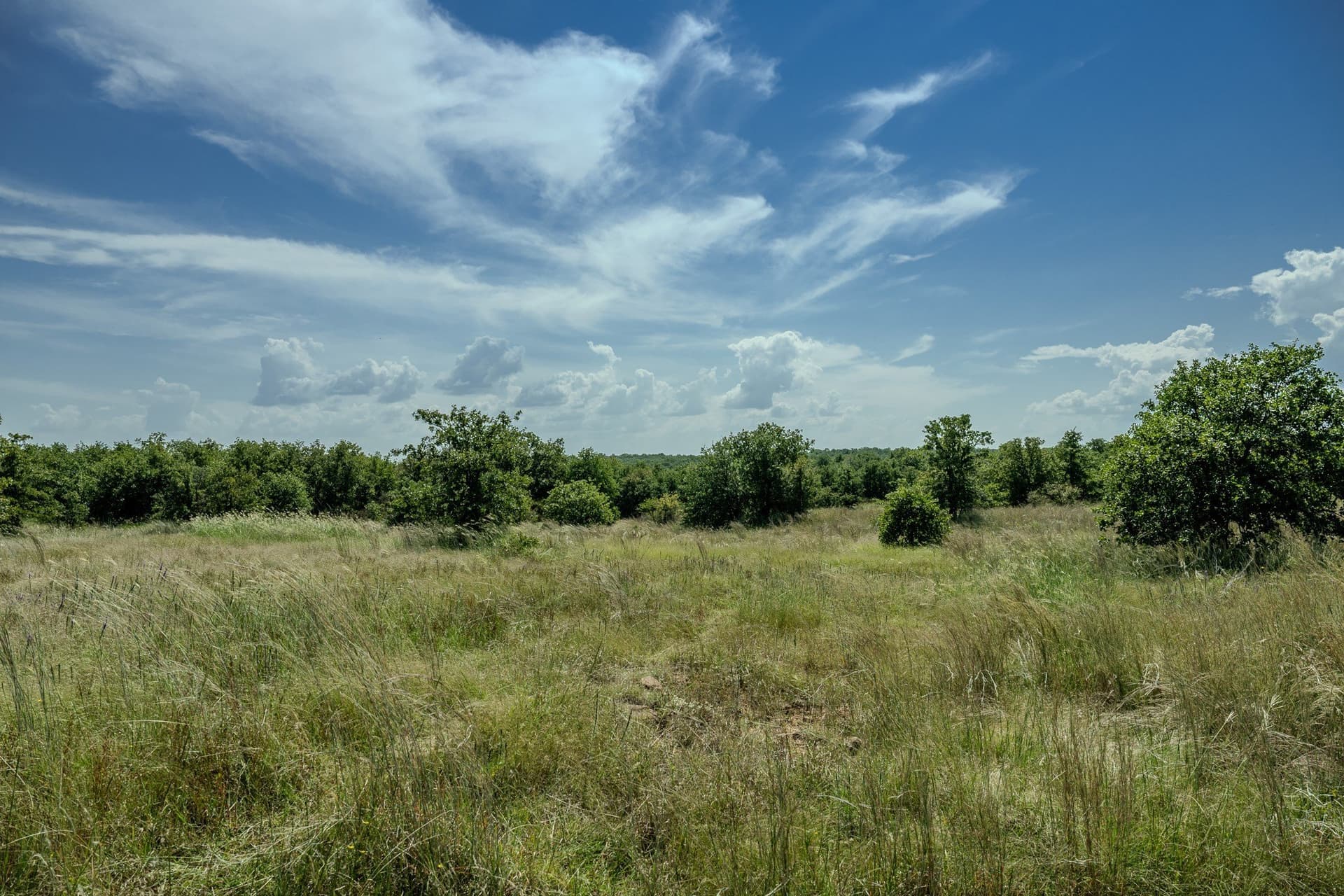 530 acres in Clay County - photo 23