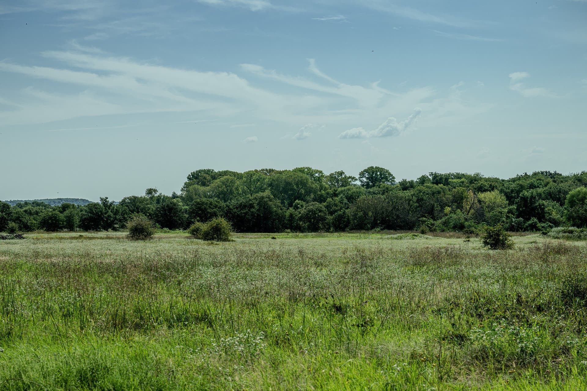 530 acres in Clay County - photo 35