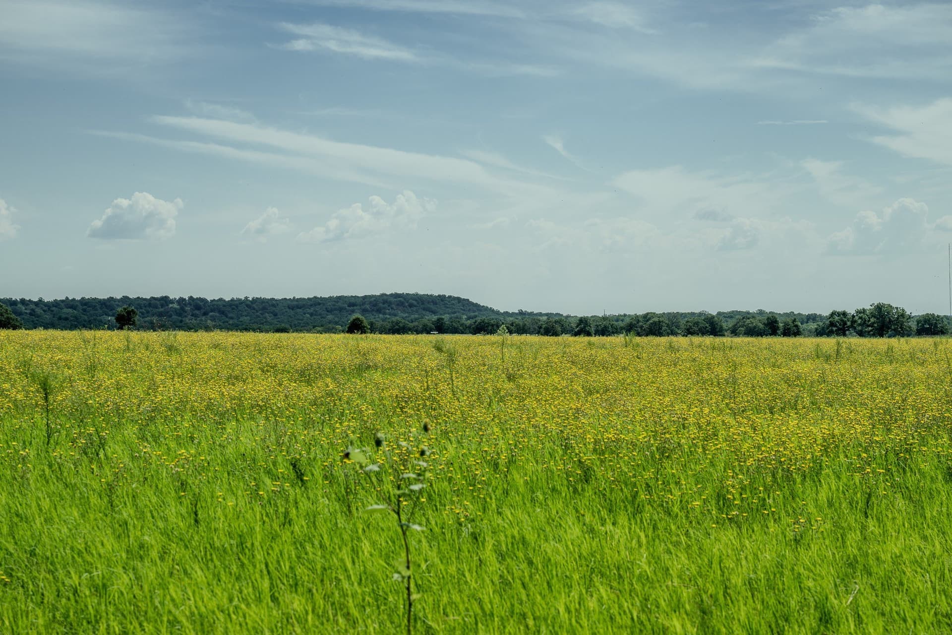 530 acres in Clay County - photo 10