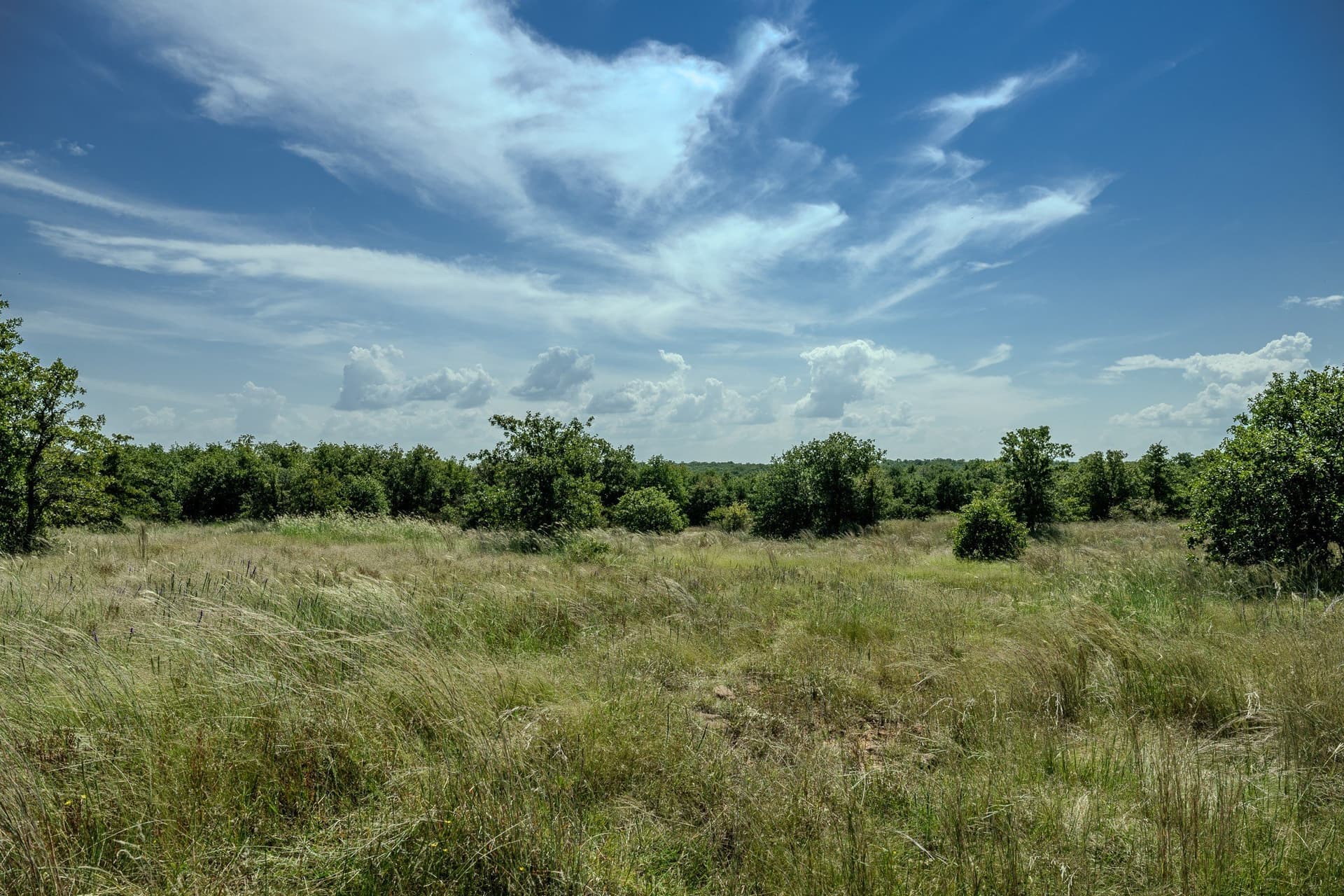 530 acres in Clay County - photo 30