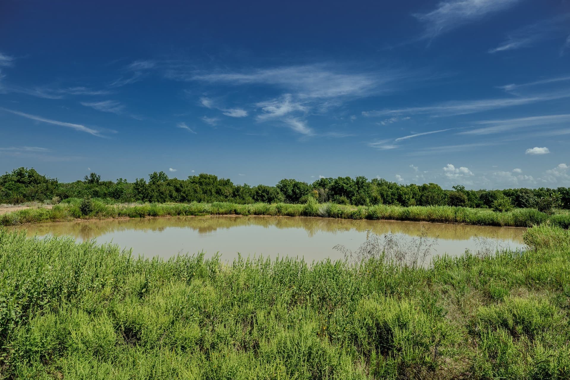 530 acres in Clay County - photo 8