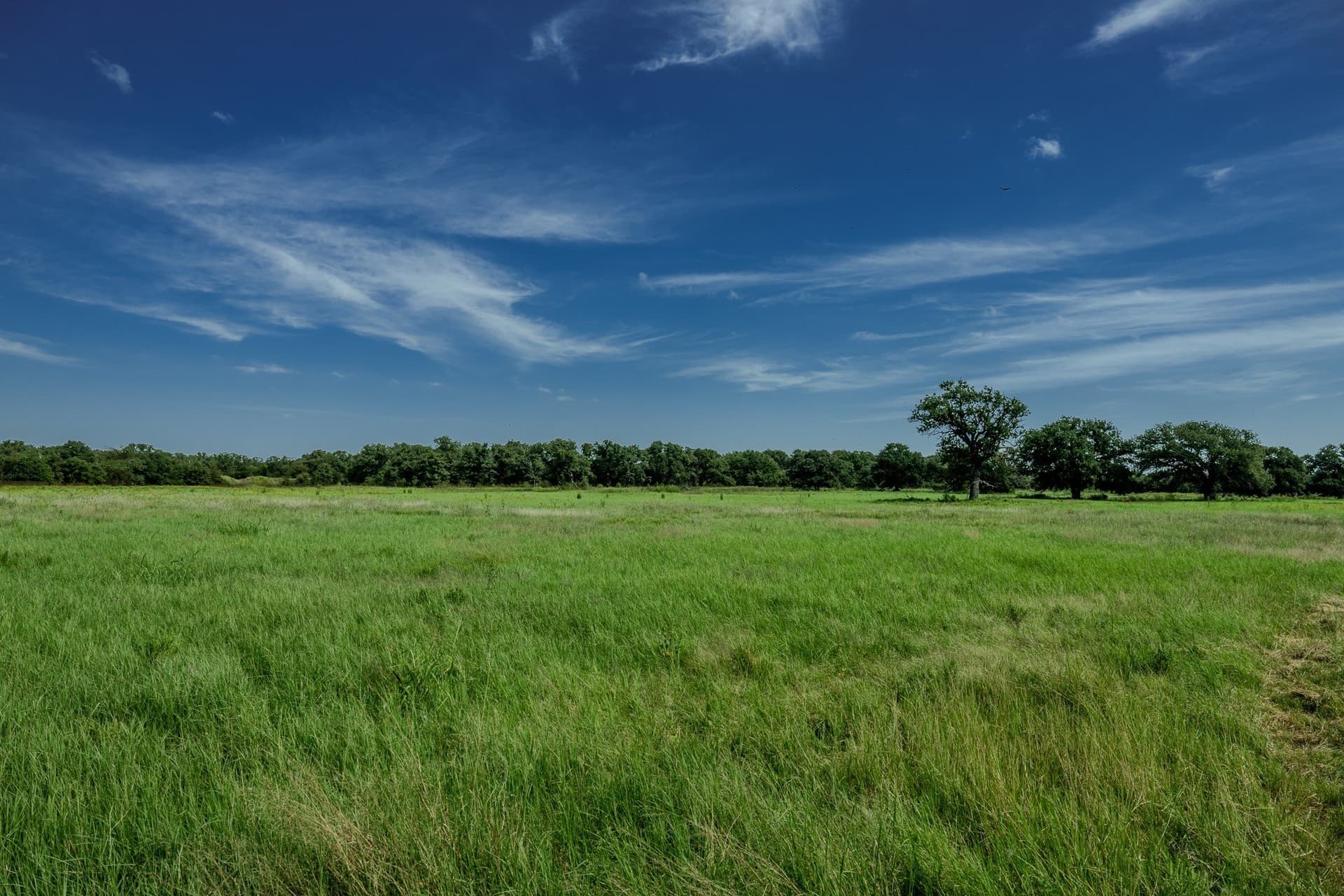 530 acres in Clay County - photo 9