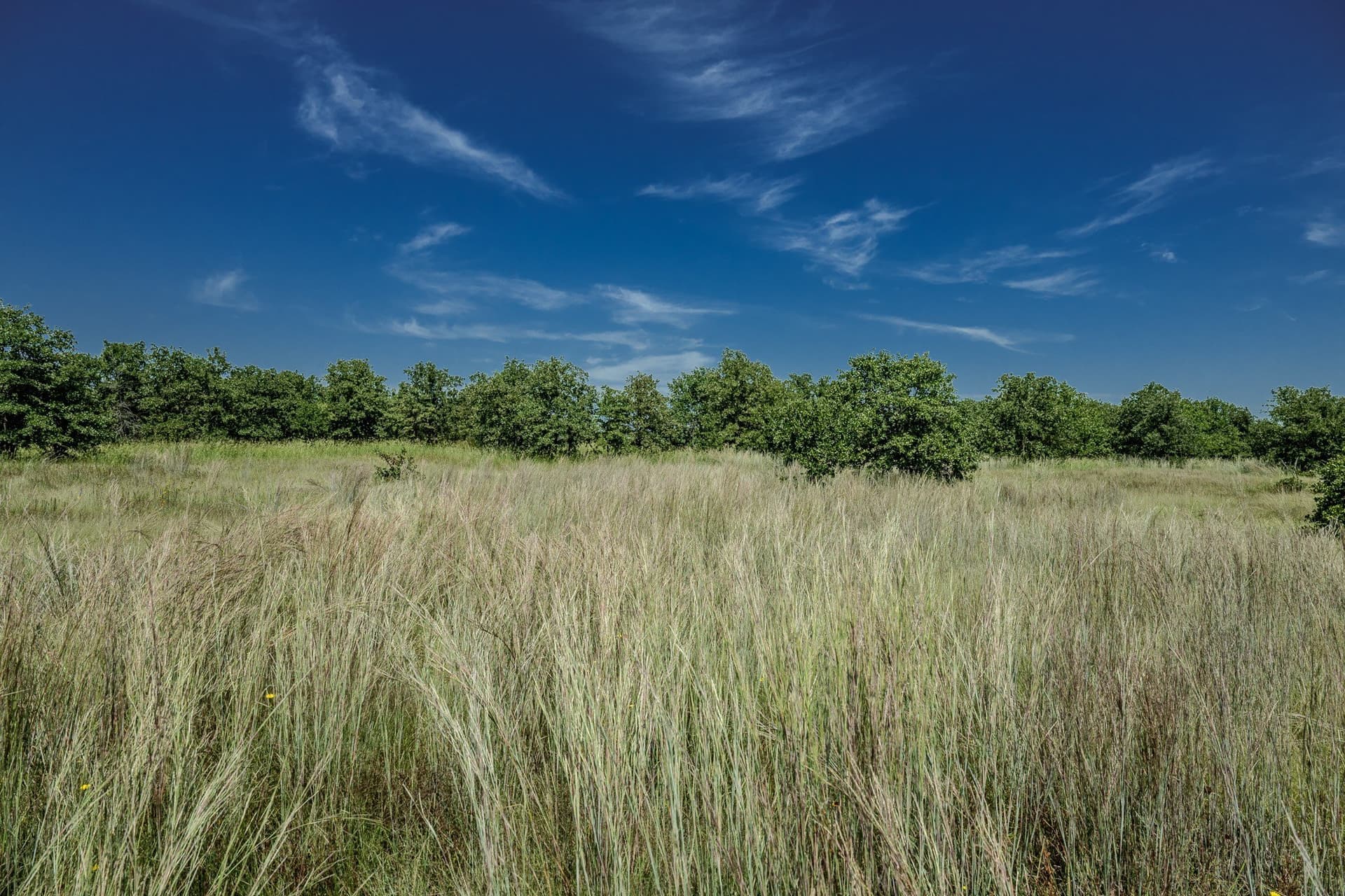 530 acres in Clay County - photo 31