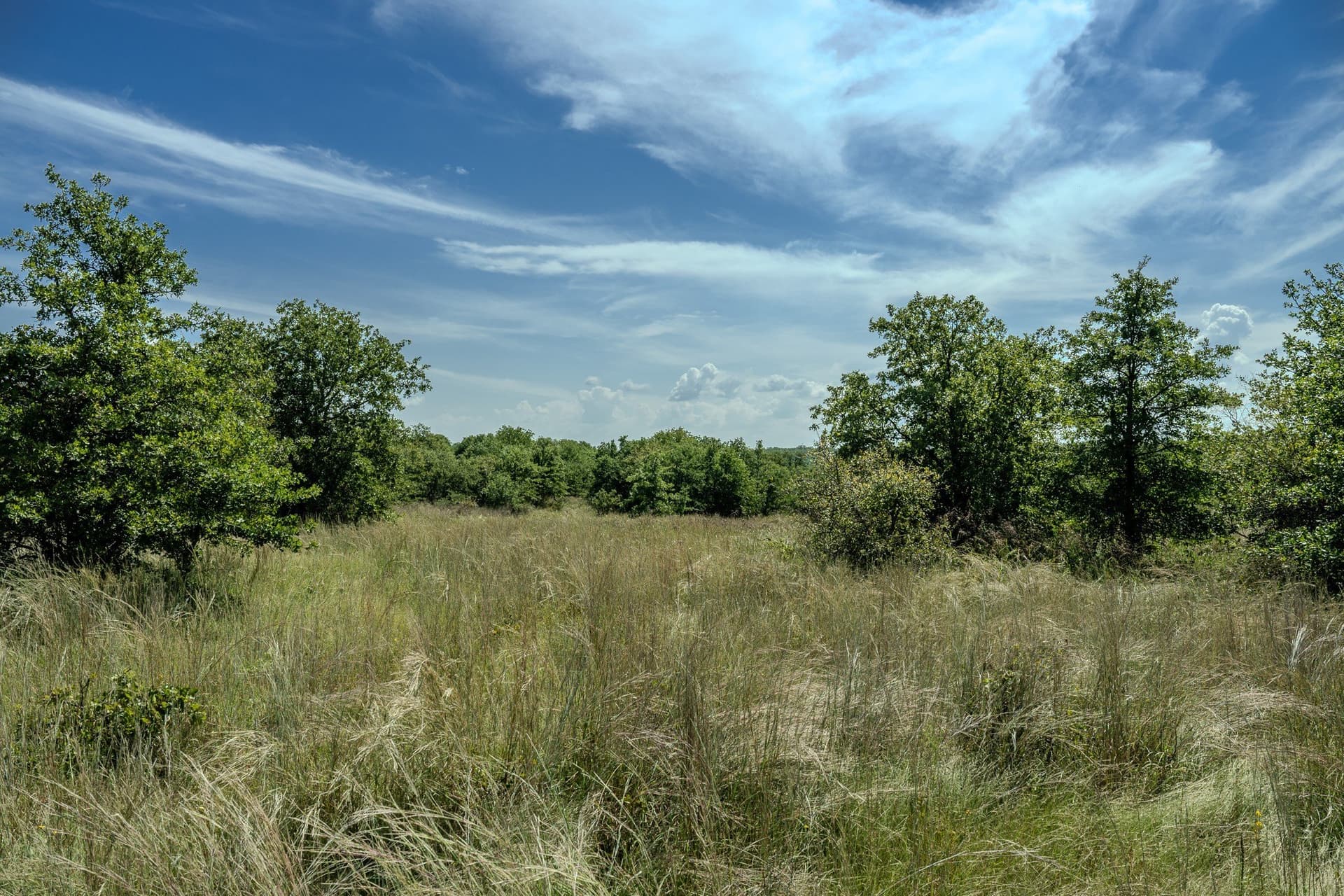 530 acres in Clay County - photo 32