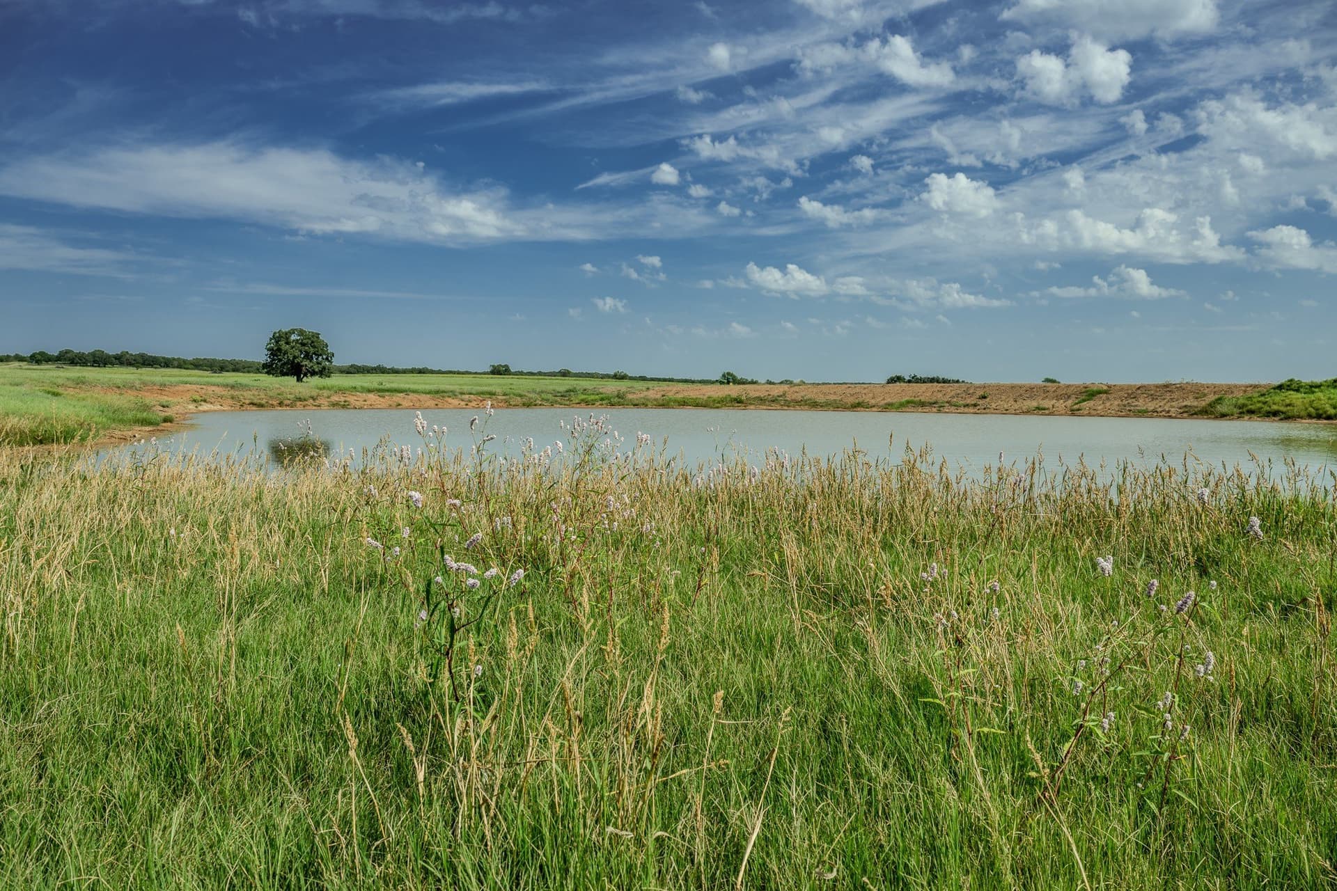 530 acres in Clay County - photo 21
