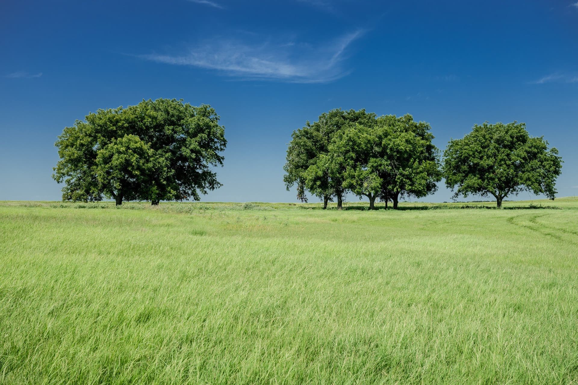 530 acres in Clay County - photo 12