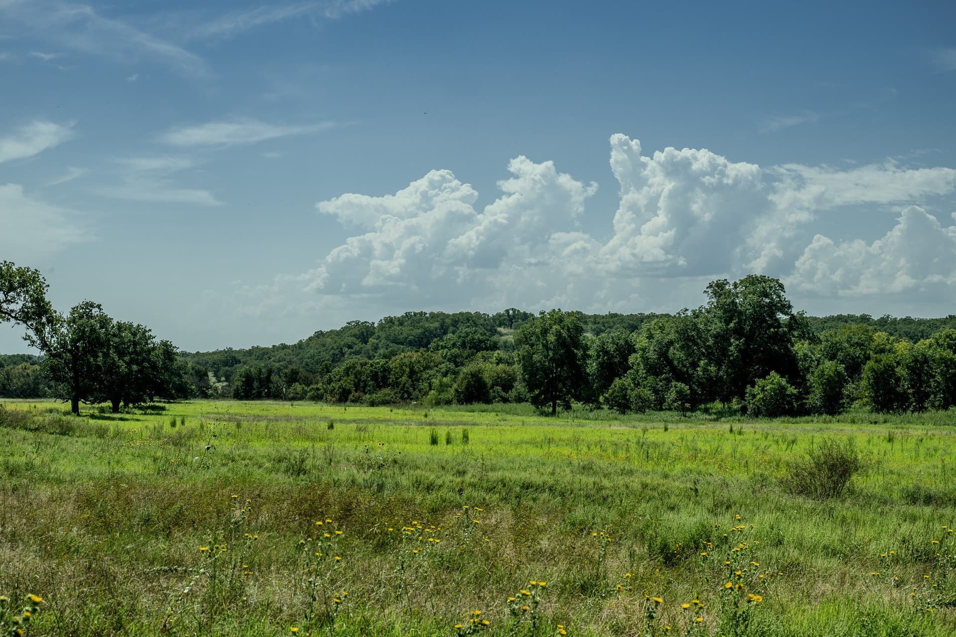 530 acres in Clay County - photo 34