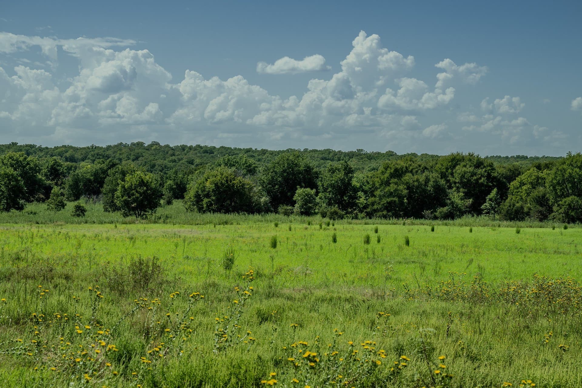 530 acres in Clay County - photo 33