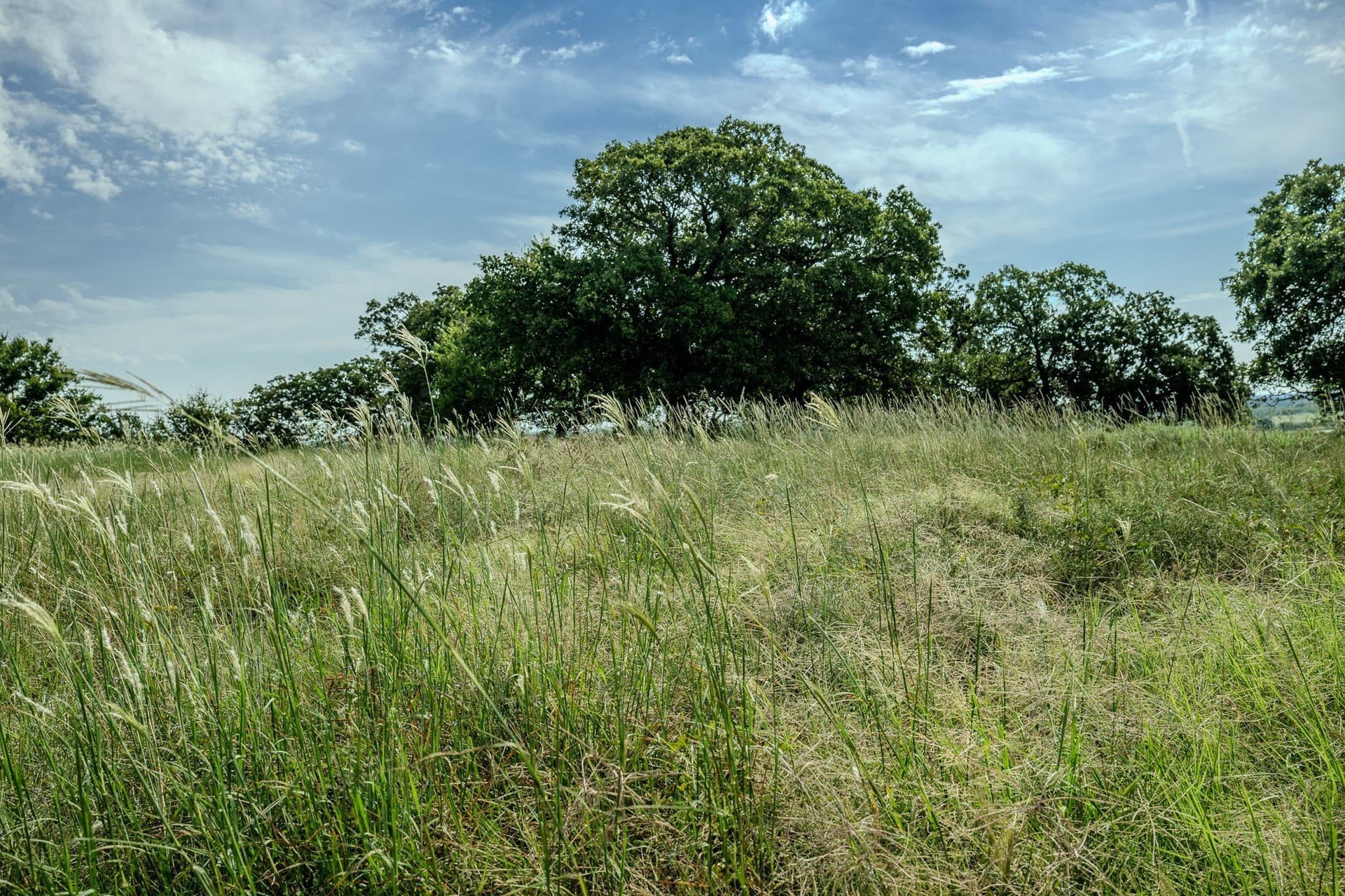 530 acres in Clay County - photo 19