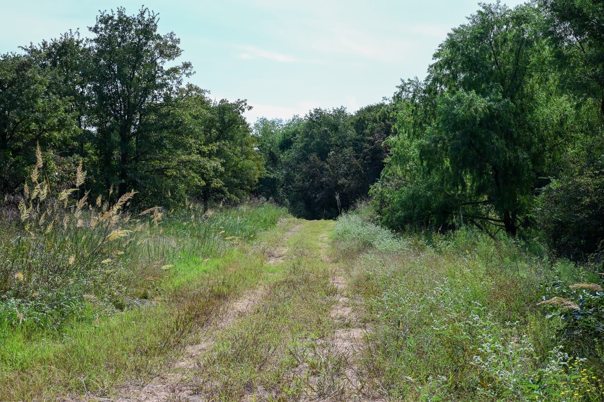 530 acres in Clay County - photo 16