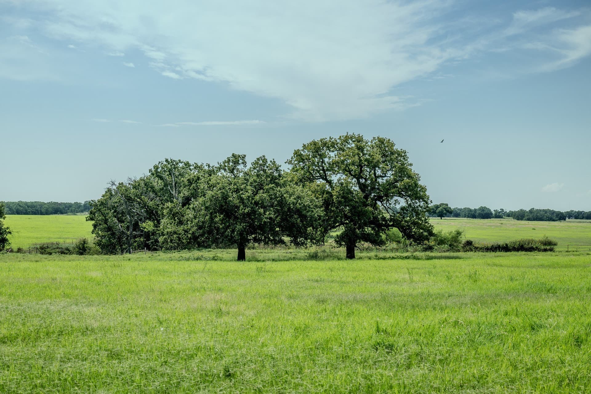 530 acres in Clay County - photo 14