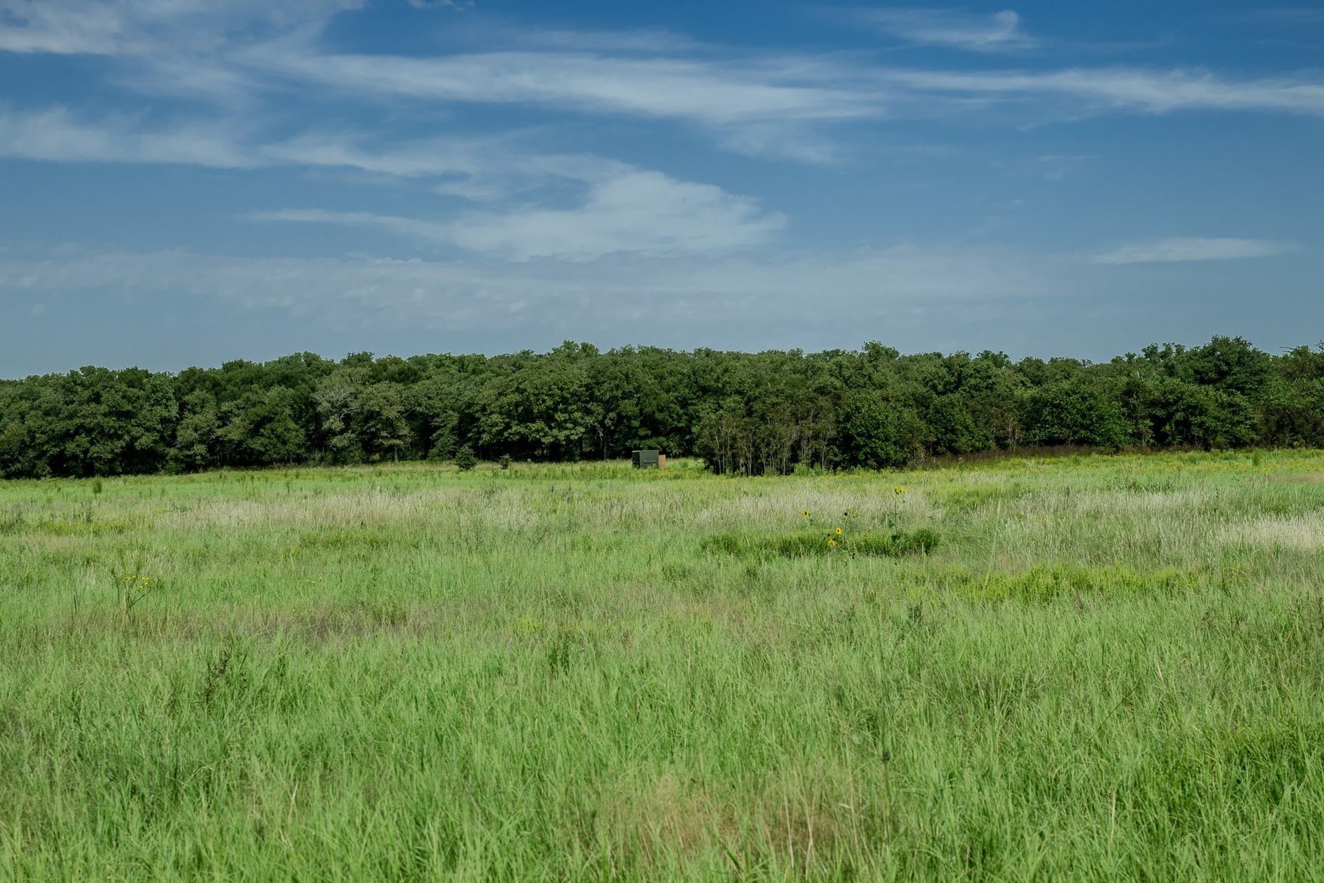 530 acres in Clay County - photo 26