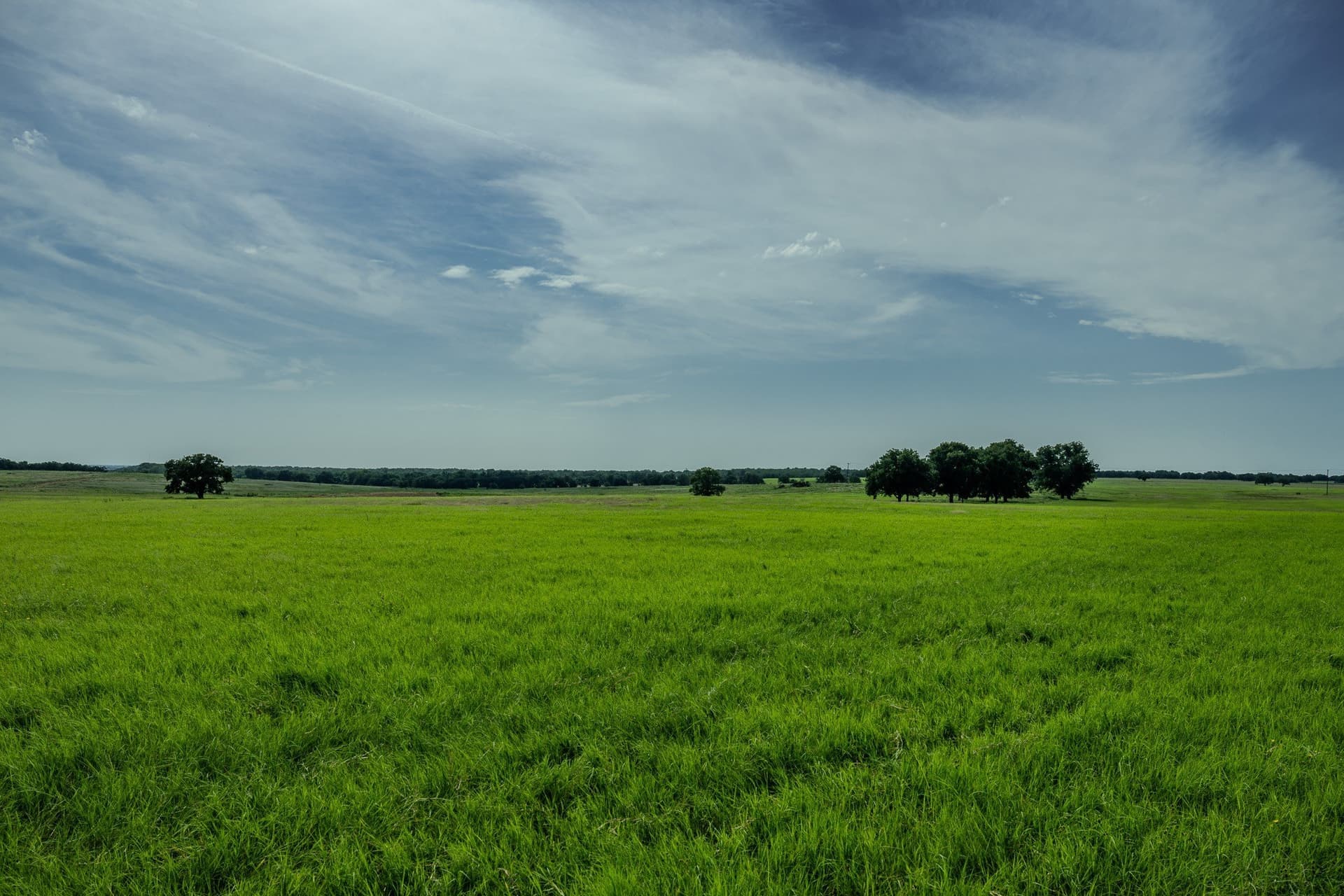 530 acres in Clay County - photo 20