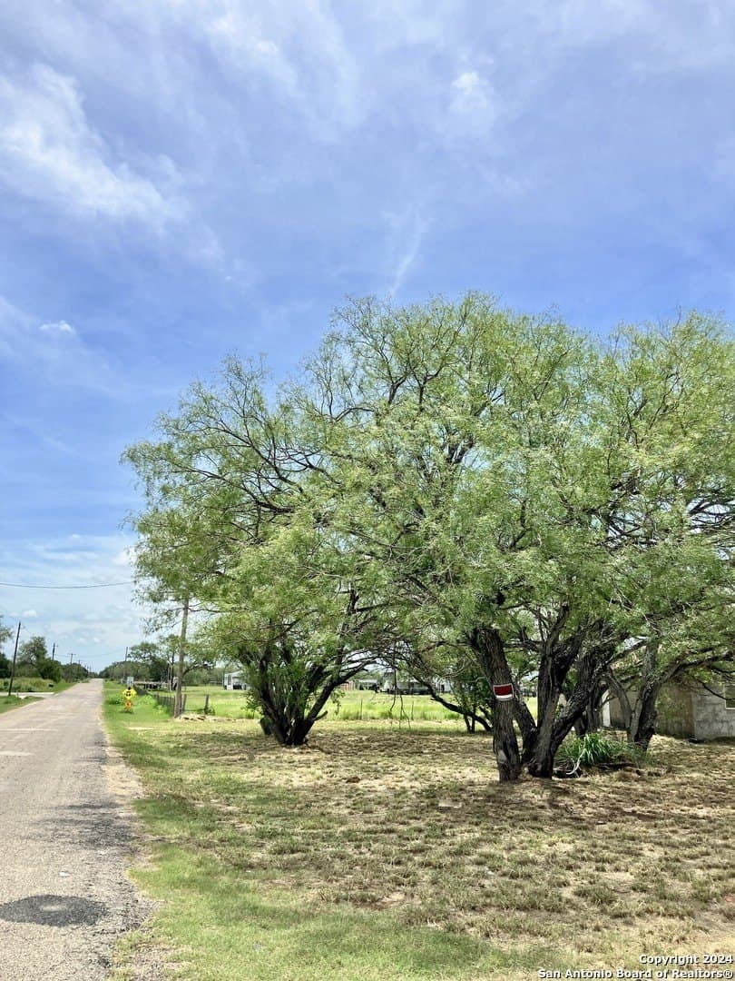 3.02 acres in Atascosa County - photo 6