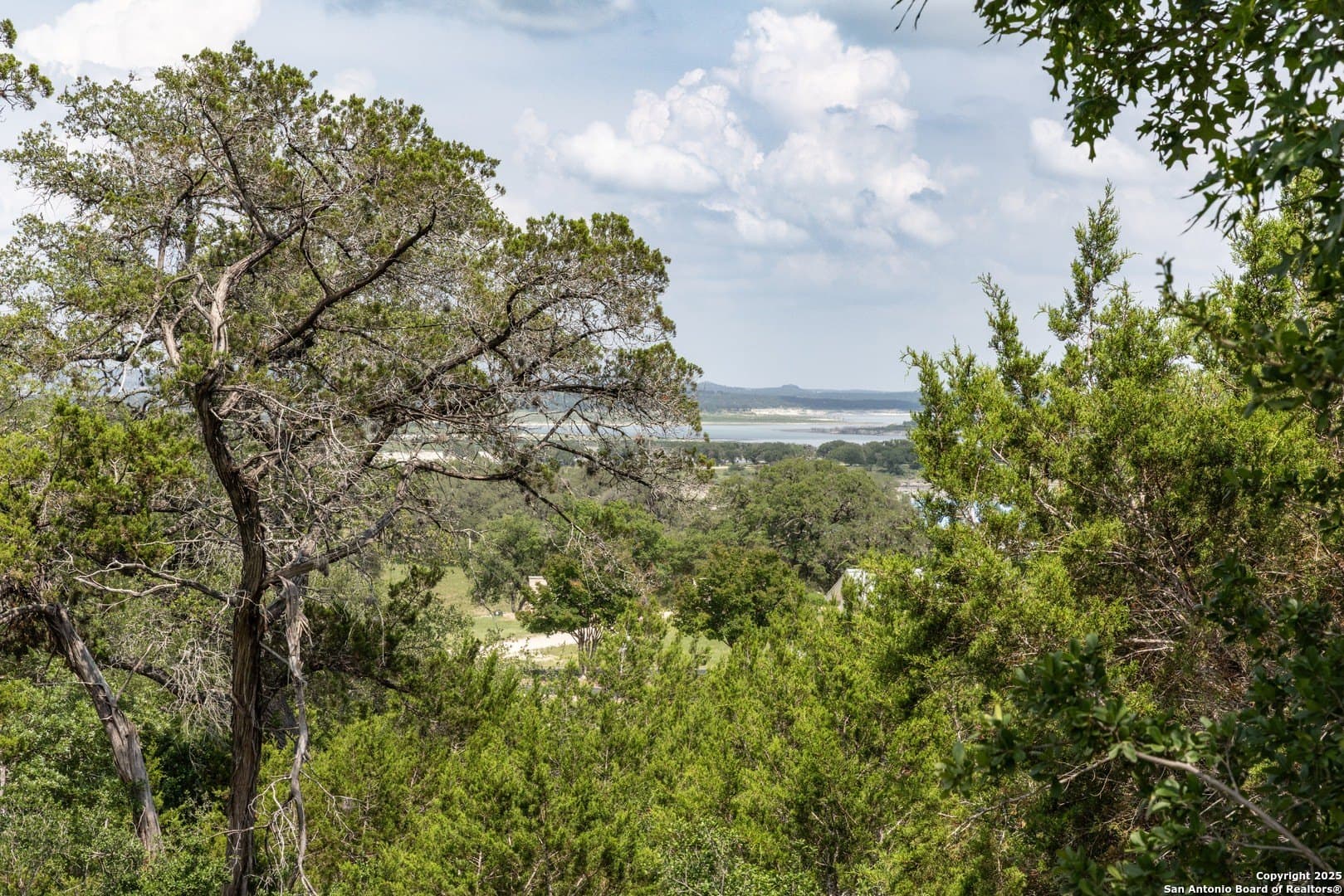 1.38 acres in Comal County gallery image 3