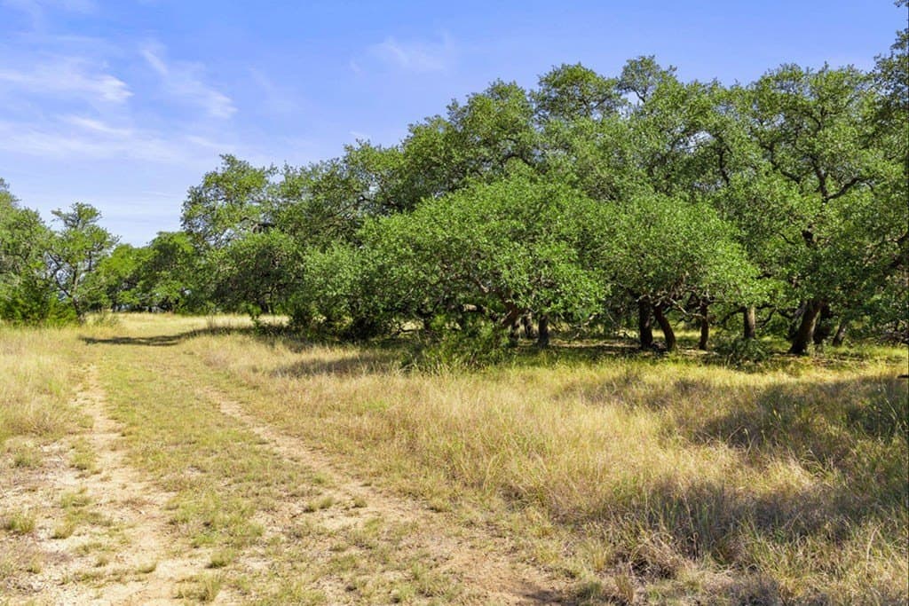 7.22 acres in Blanco County - photo 25