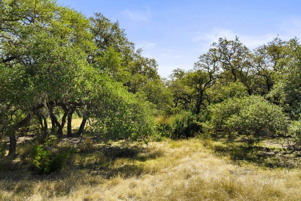 7.22 acres in Blanco County - photo 13