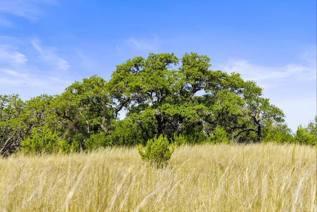 7.22 acres in Blanco County - photo 16