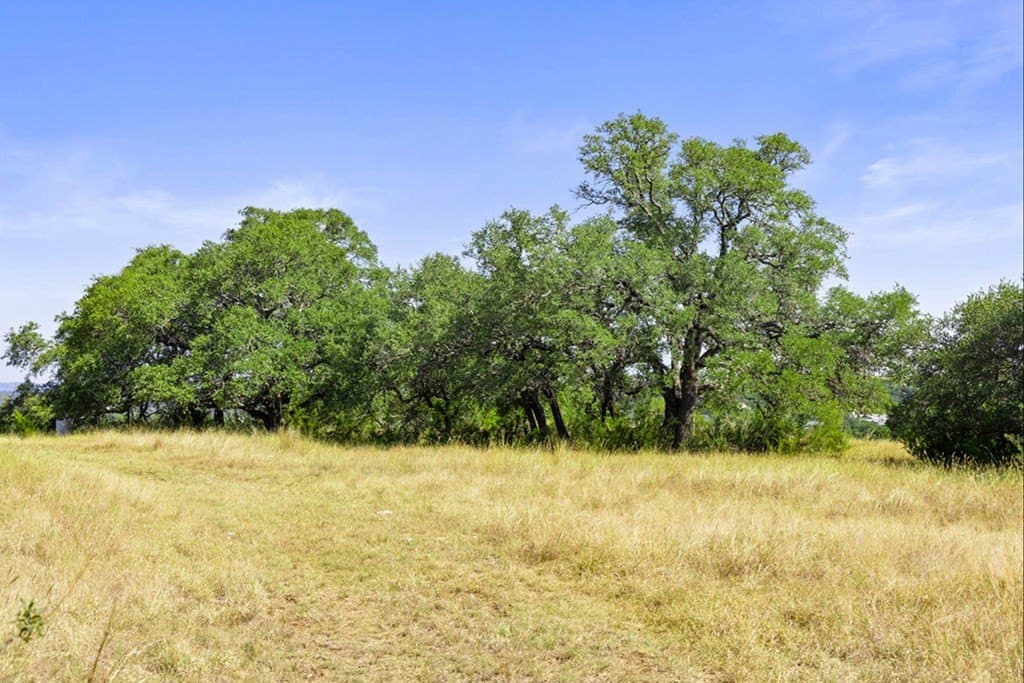 7.22 acres in Blanco County - photo 24