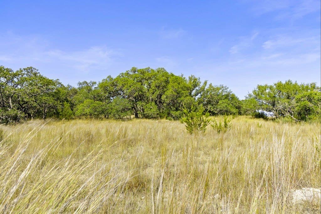 7.22 acres in Blanco County - photo 18