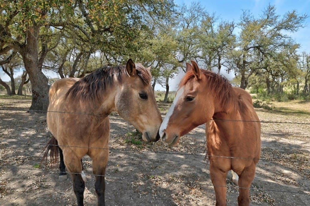 7.22 acres in Blanco County - photo 35