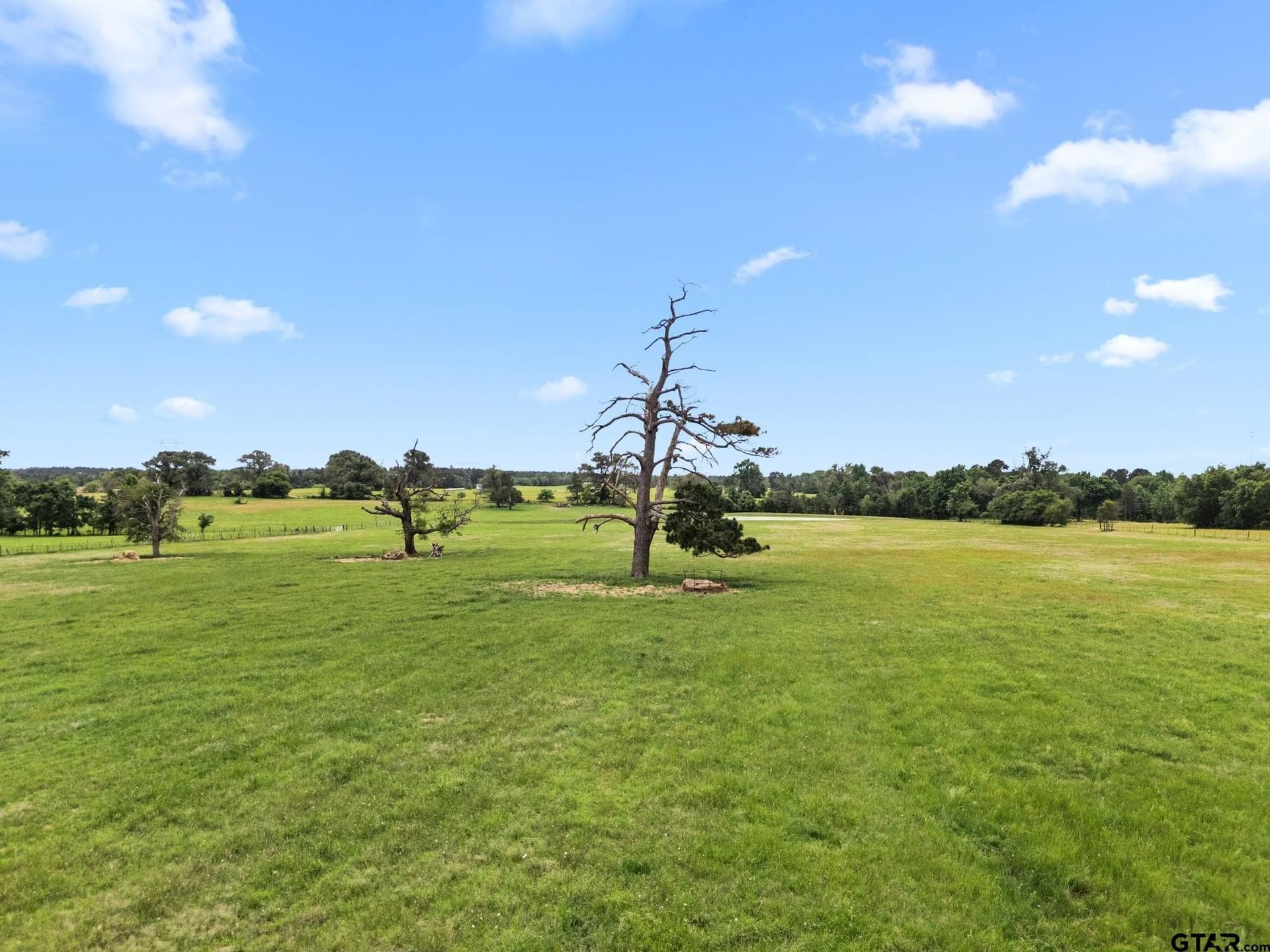 20 acres in Anderson County gallery image 4