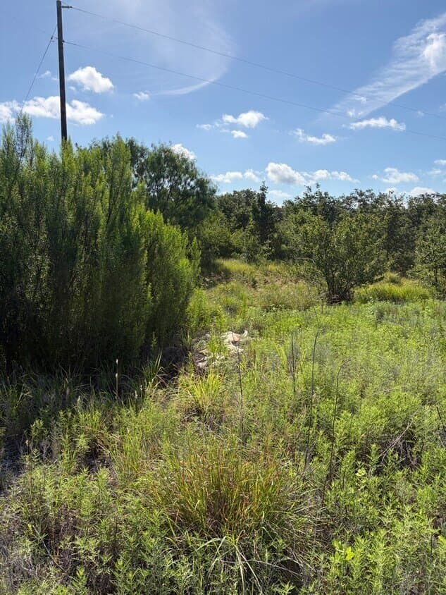 6 acres in Erath County - photo 6