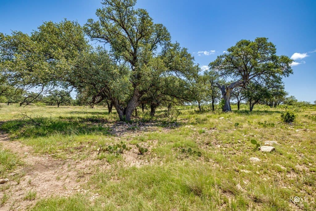 88.86 acres in Tom Green County - photo 58